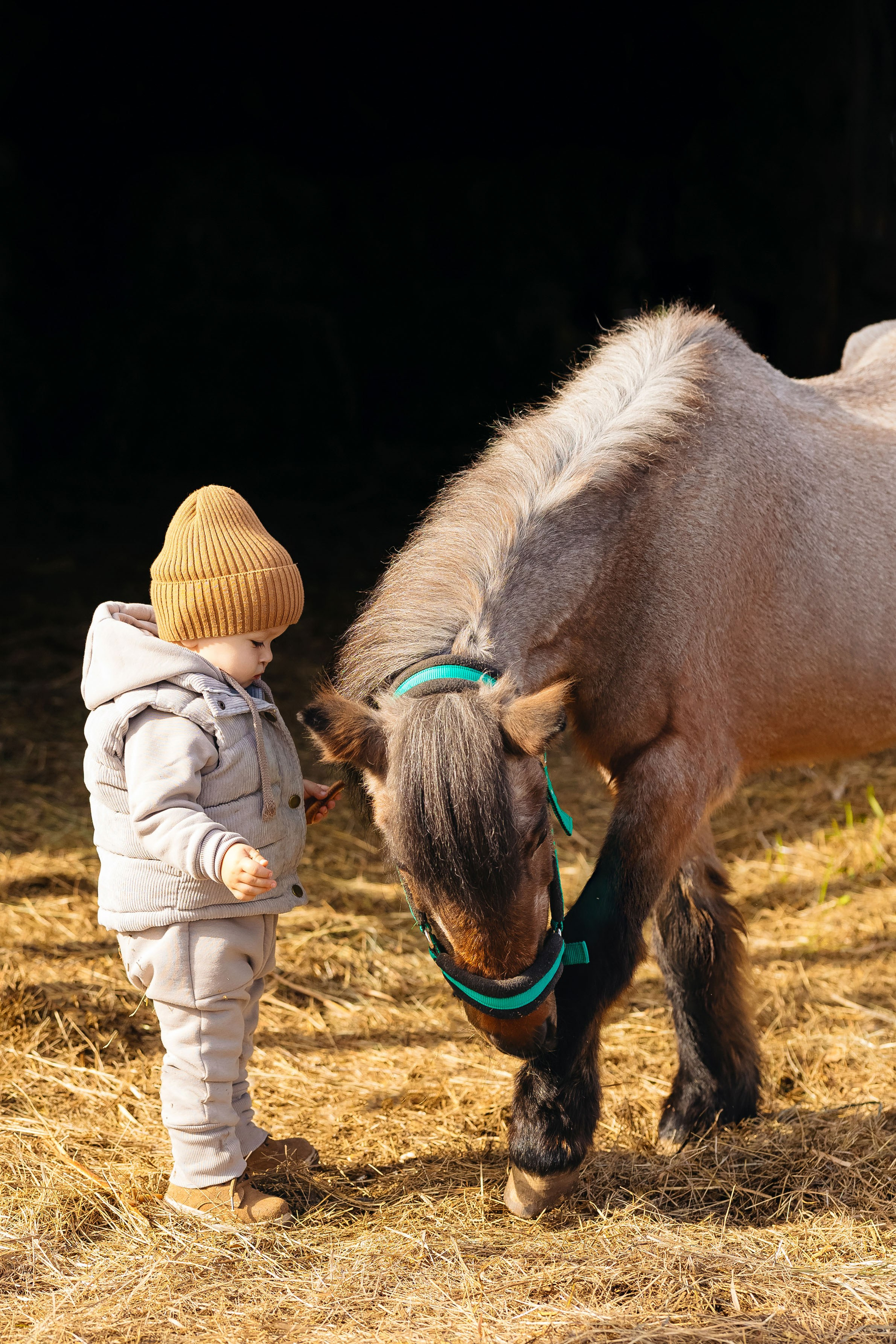 2024.10.02 Илья и лошадка. Ирина Бешляга. Фотограф в Москве и по всей России