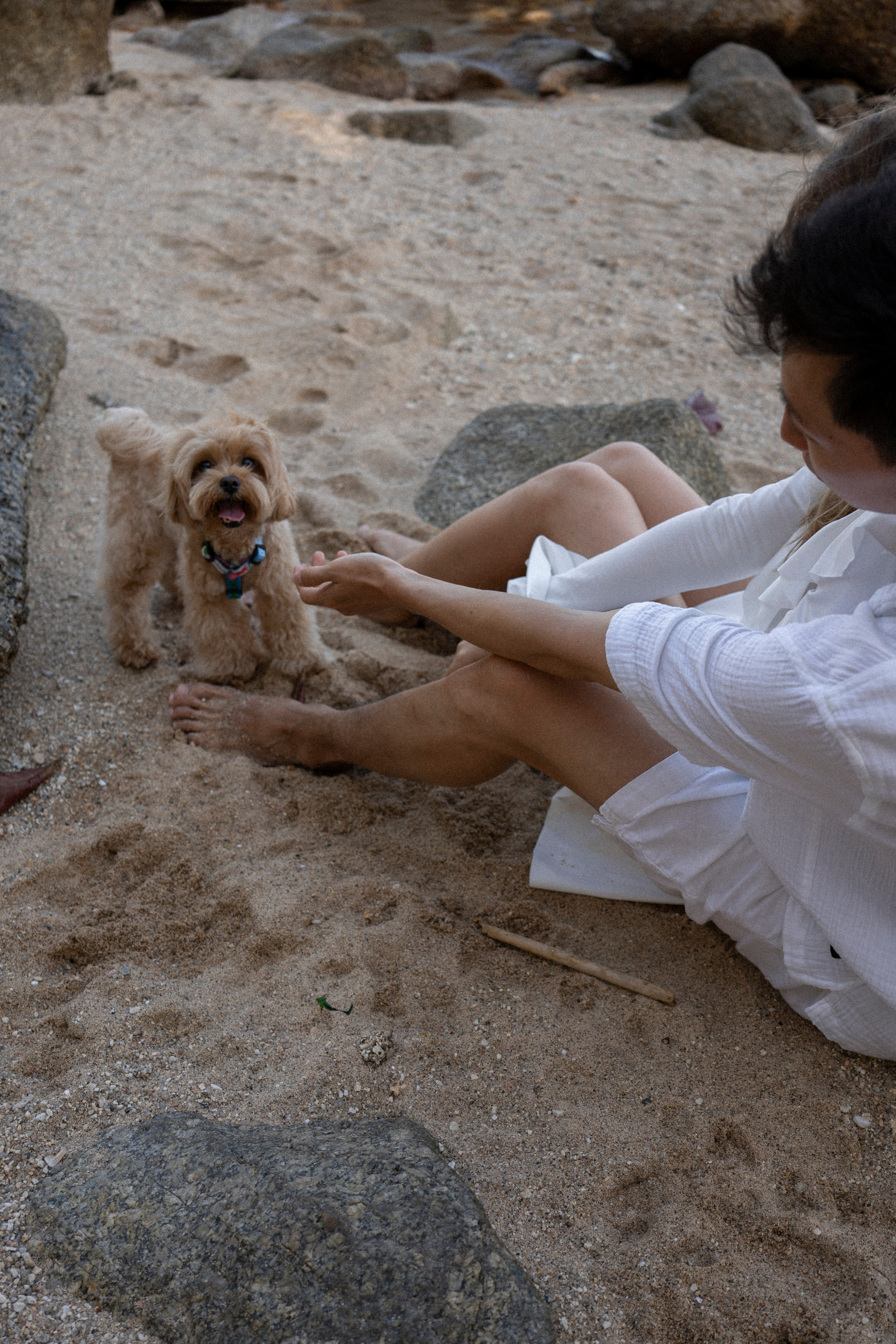 Vera & Nikolay. Ваш фотограф Ангелина на Пхукете 🖤