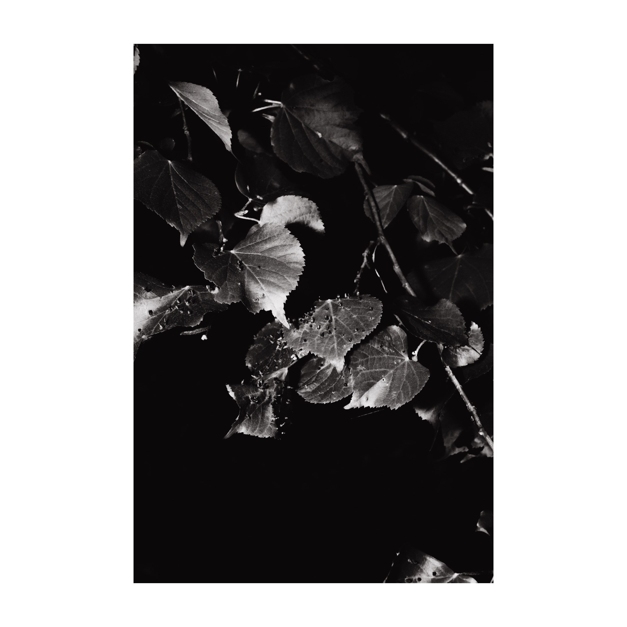 Творческие съемки. ТАТИ | Татьяна Тихонова | фотограф | Тольятти Самара