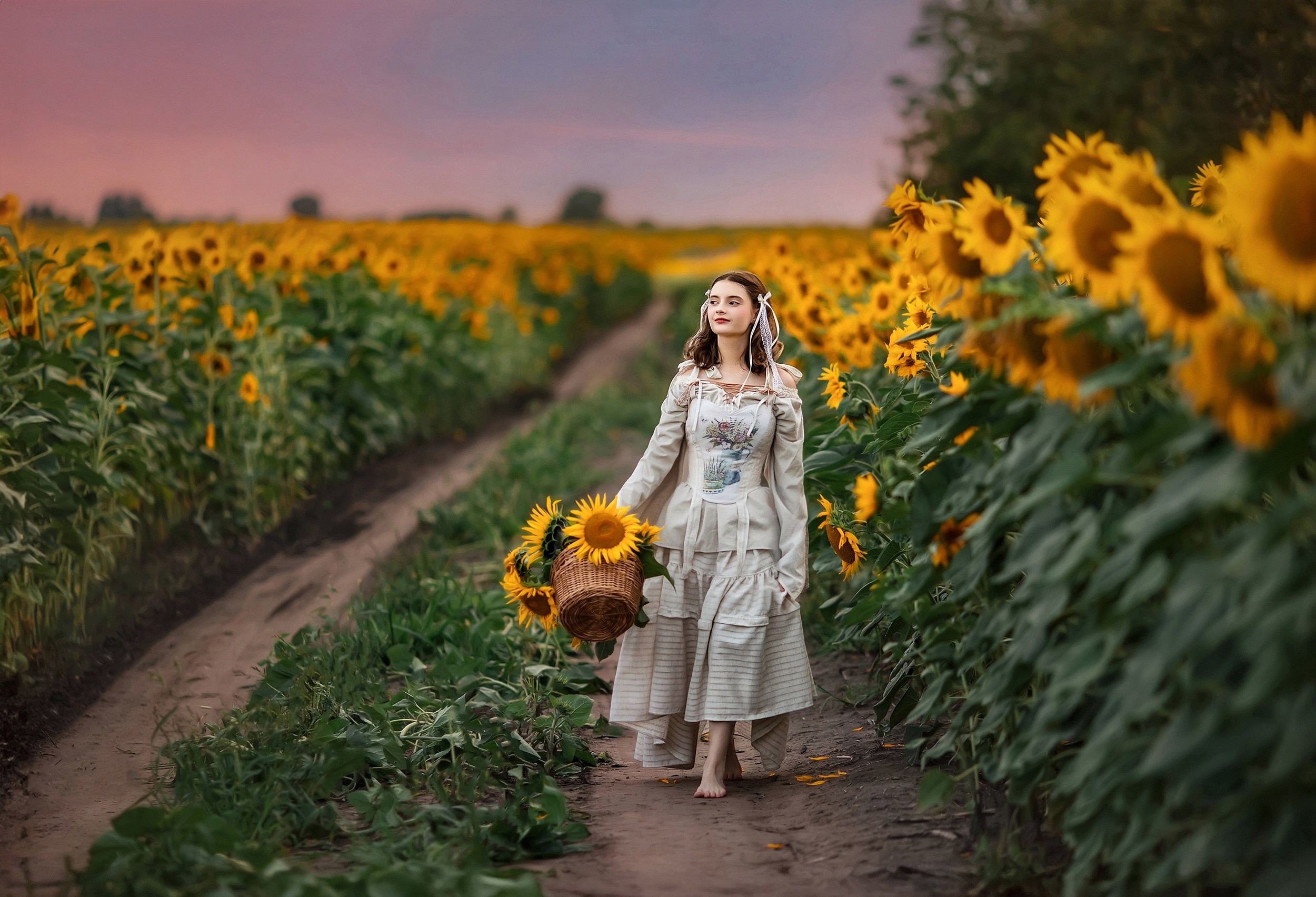 Подсолнухи. Фотохудожник в Брянске Додонова Ольга
