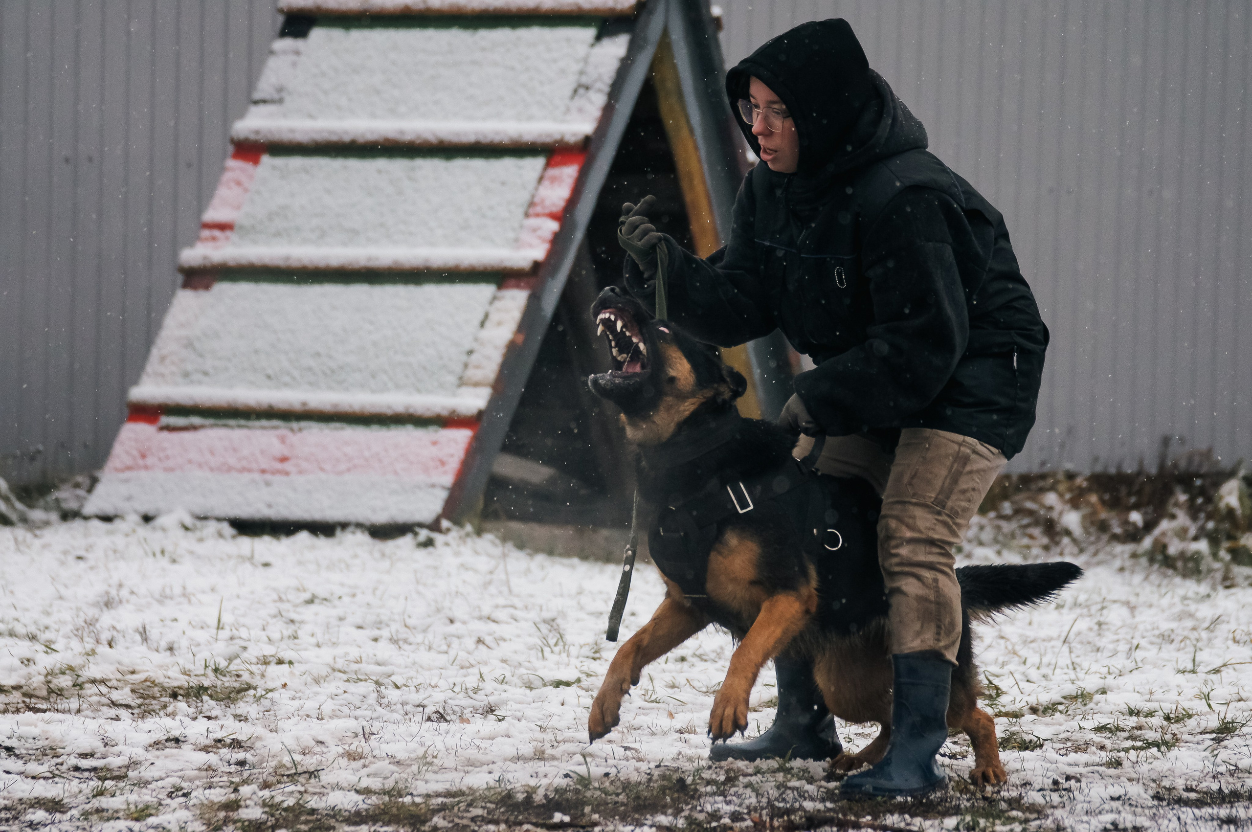 Репортажная съемка. Фотограф-анималист Нижний Новгород