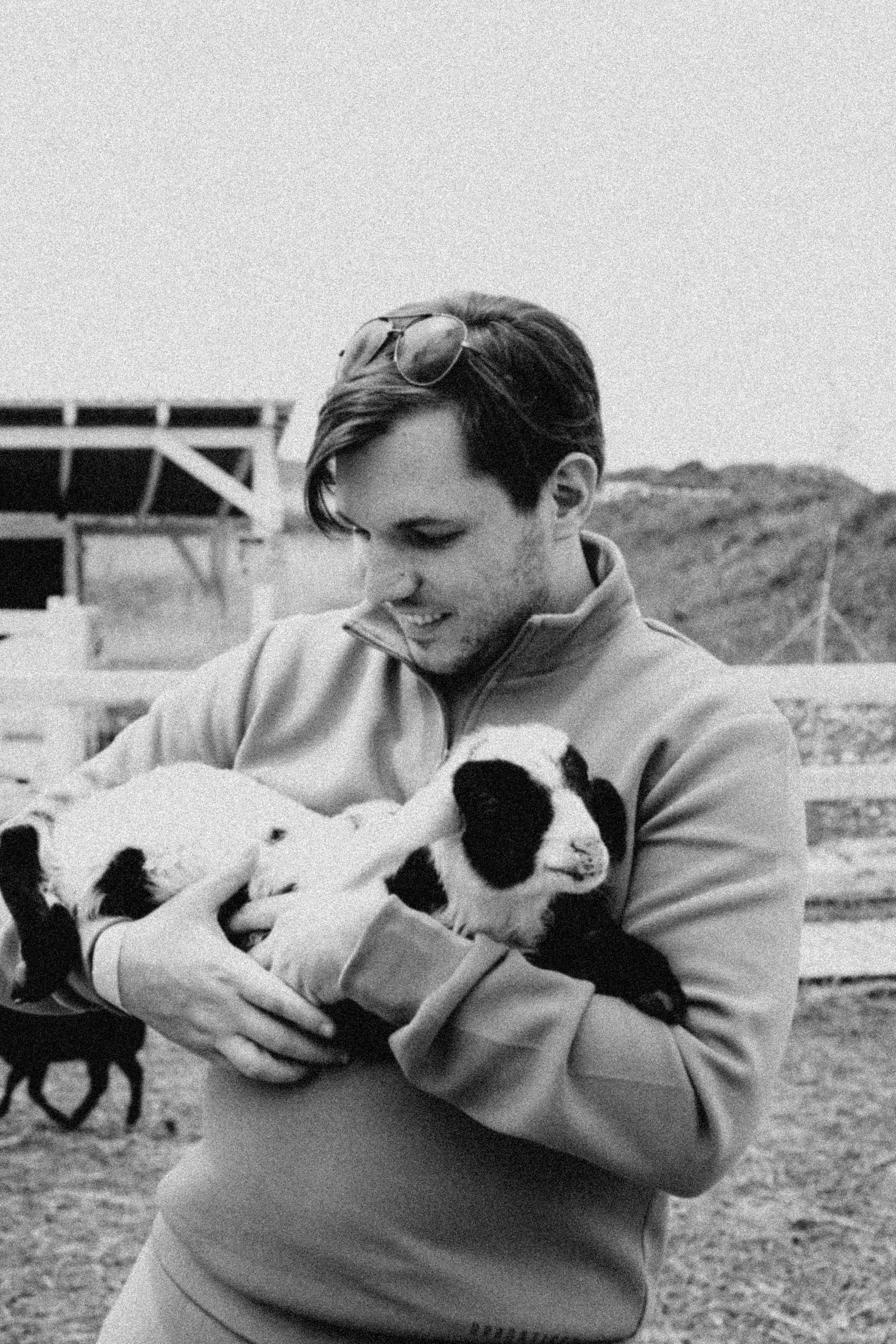 Ферма Альпак. Профессиональный фотограф, Санкт-Петербург — Виктория Богомолова