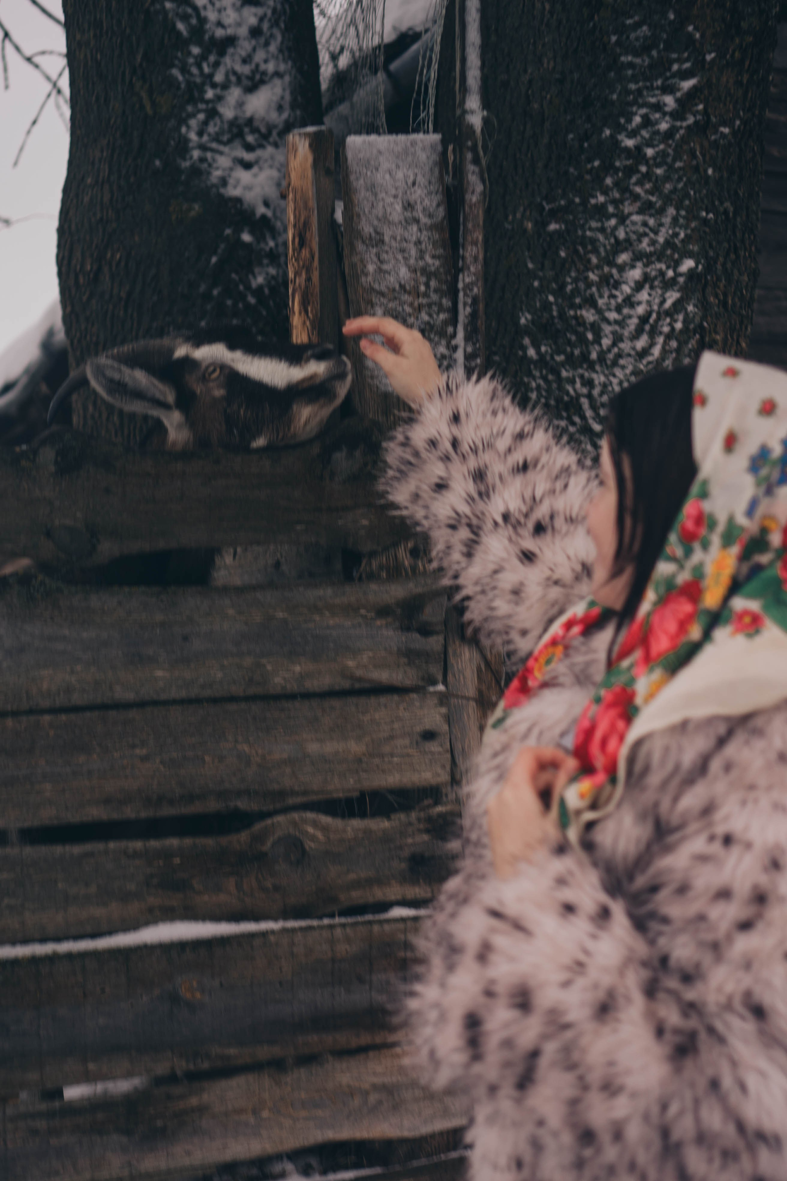 Деревня. Профессиональный фотограф, Санкт-Петербург — Виктория Богомолова