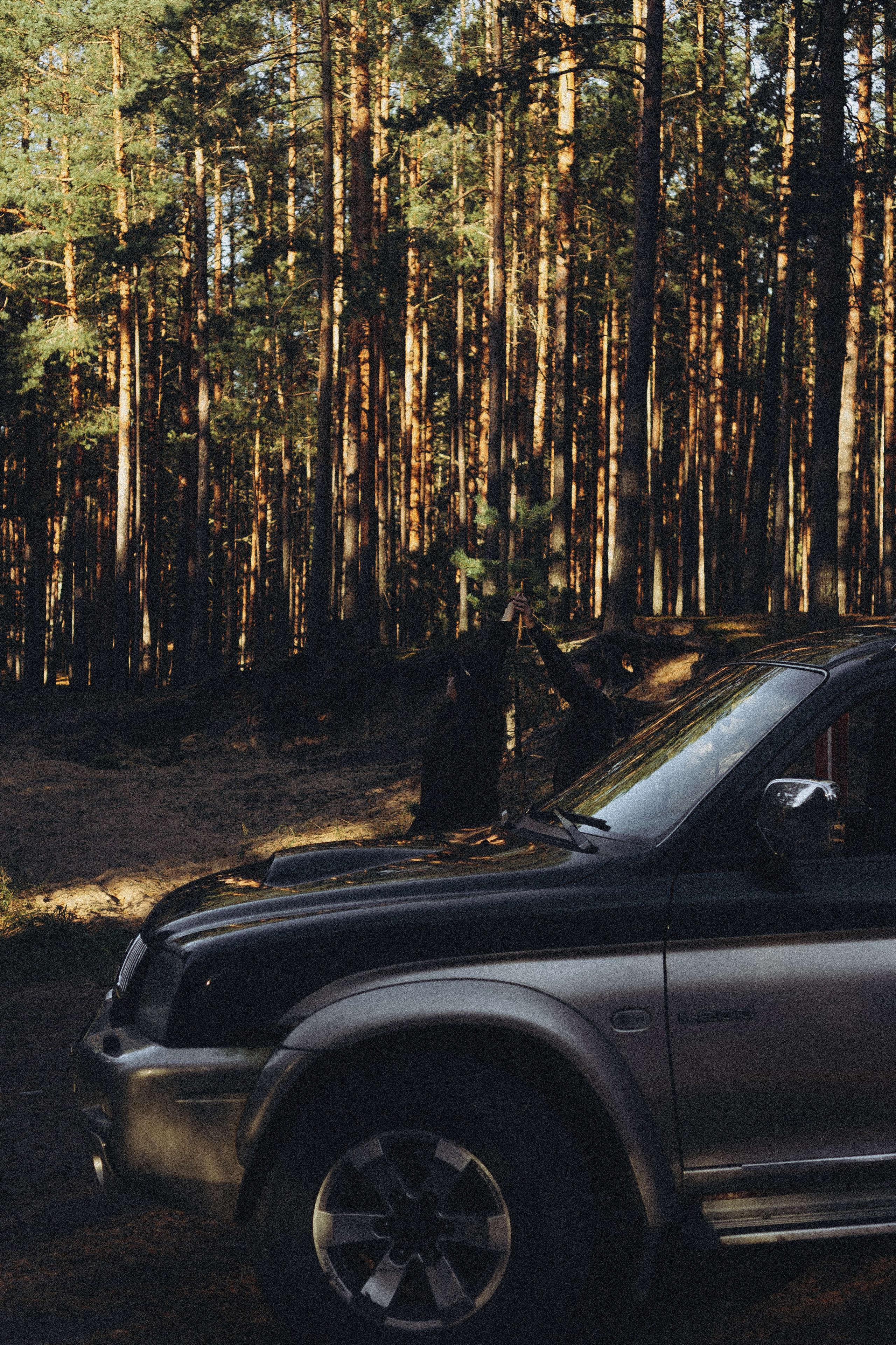 Прогулка по Финскому заливу. Профессиональный фотограф, Санкт-Петербург — Виктория Богомолова