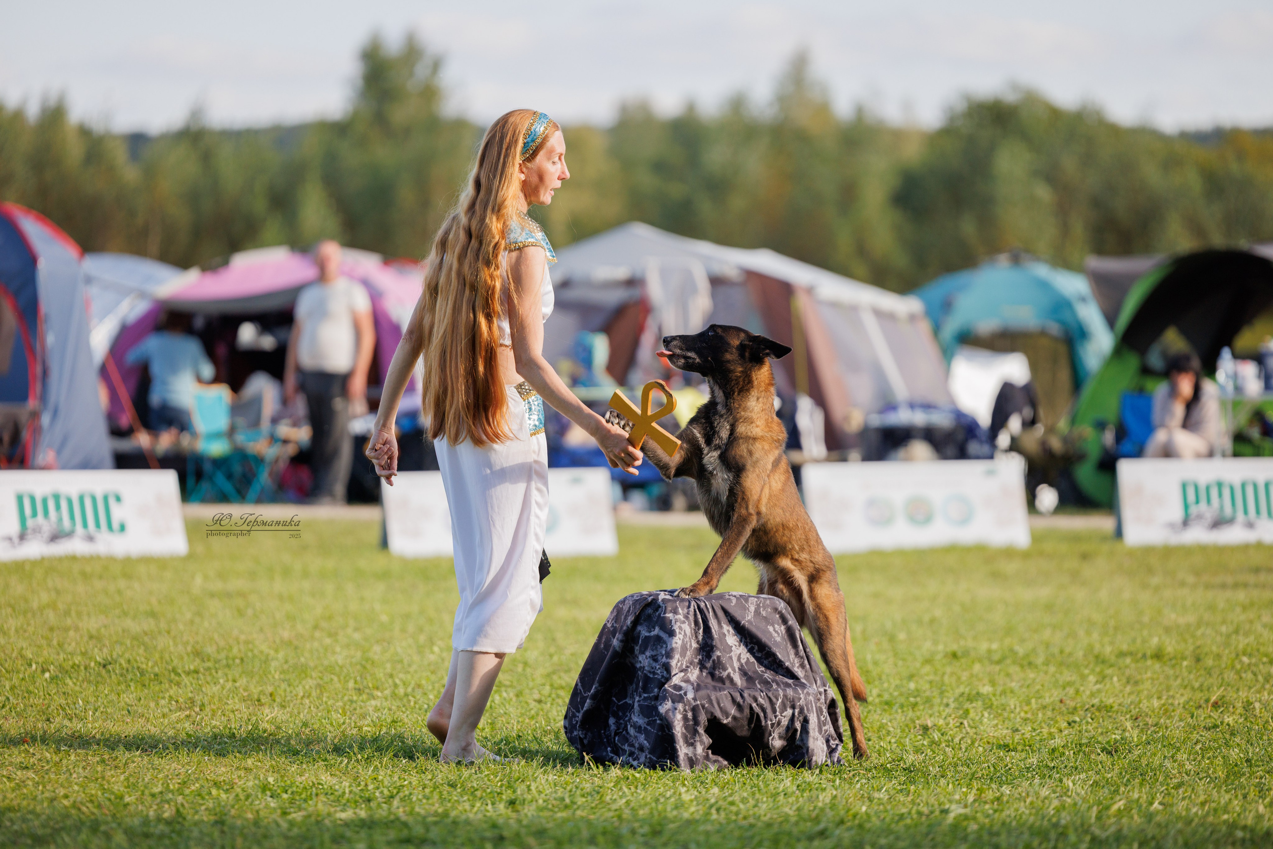Переславль 5-7.08.2025. Фотограф-анималист Юлия Германика