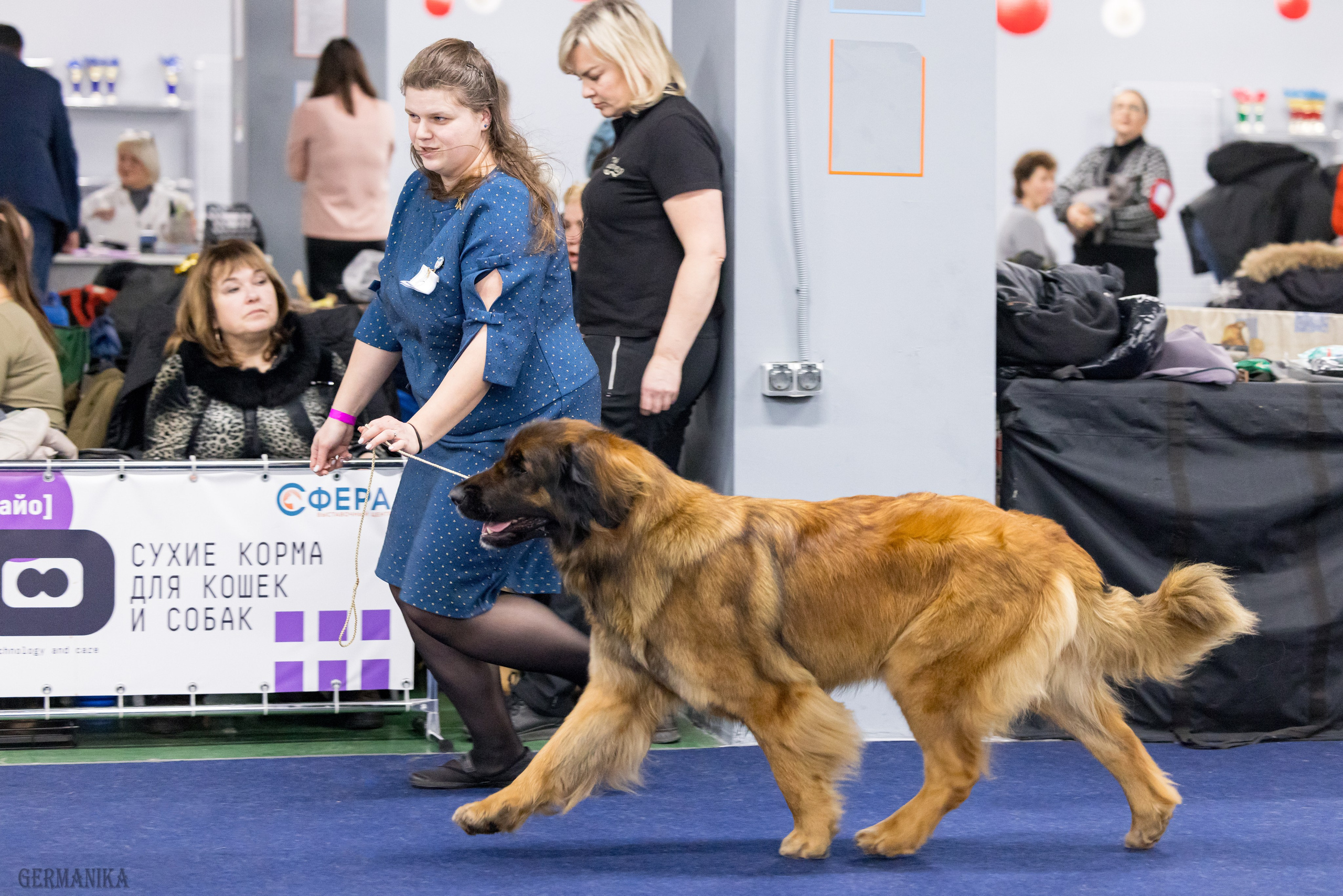 Сфера 28.01. и 4.02.2024. Фотограф-анималист Юлия Германика