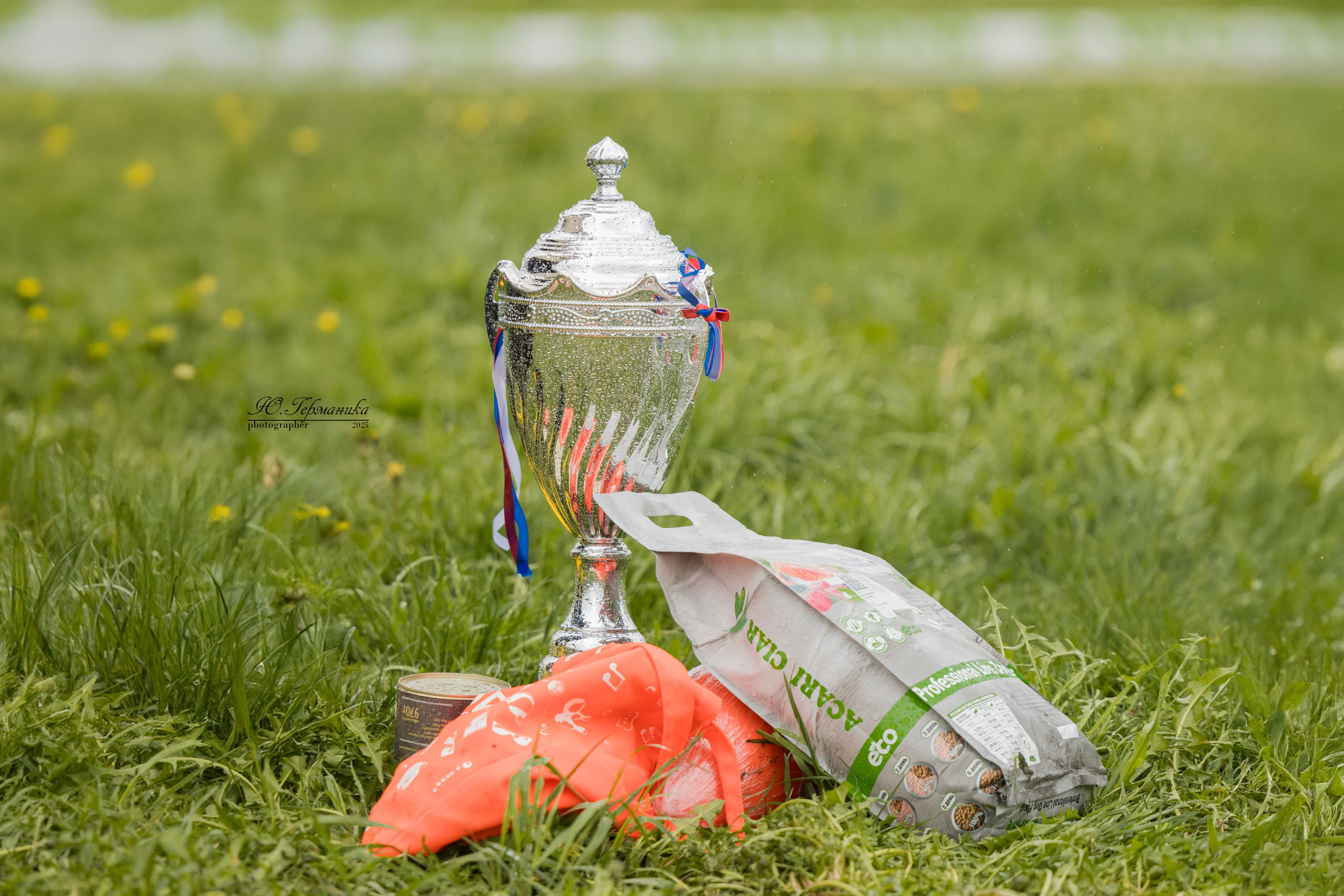 Нижний Новгород 2хмоно ротвейлеров 10-11.05.2025. Фотограф-анималист Юлия Германика