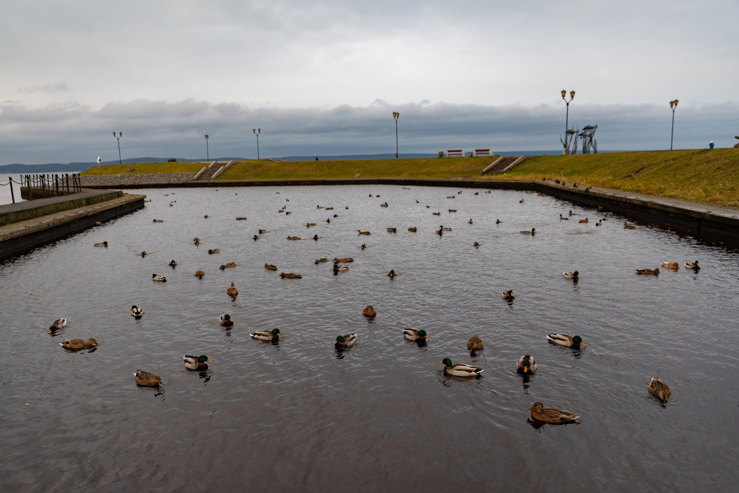 Большое путешествие в Карелию на машине. Марина Захарова — Фотограф. Москва / Marina Zakharova — Photographer