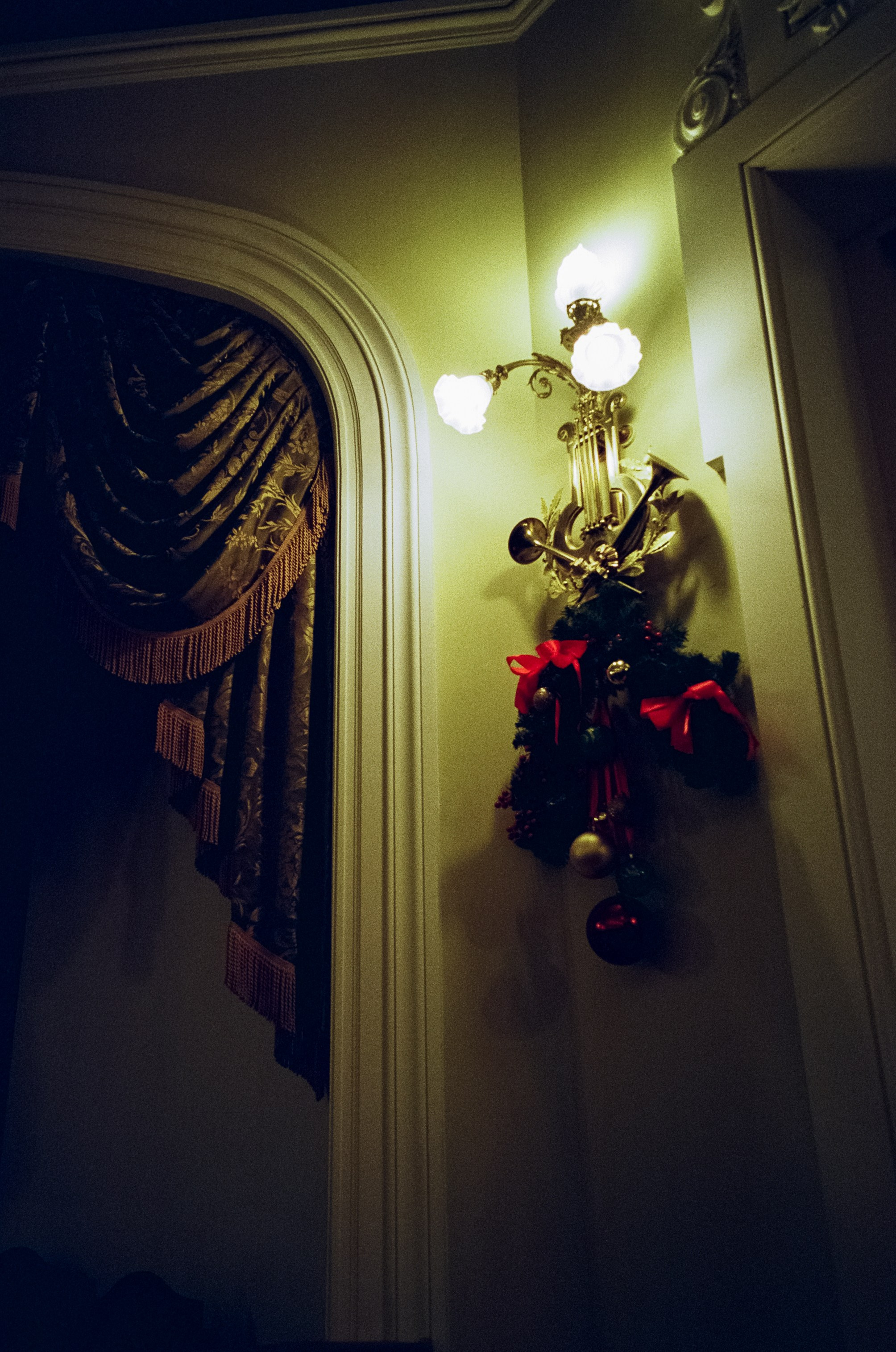 Рождество в Консерватории. Фотограф-документалист Мария Осокина