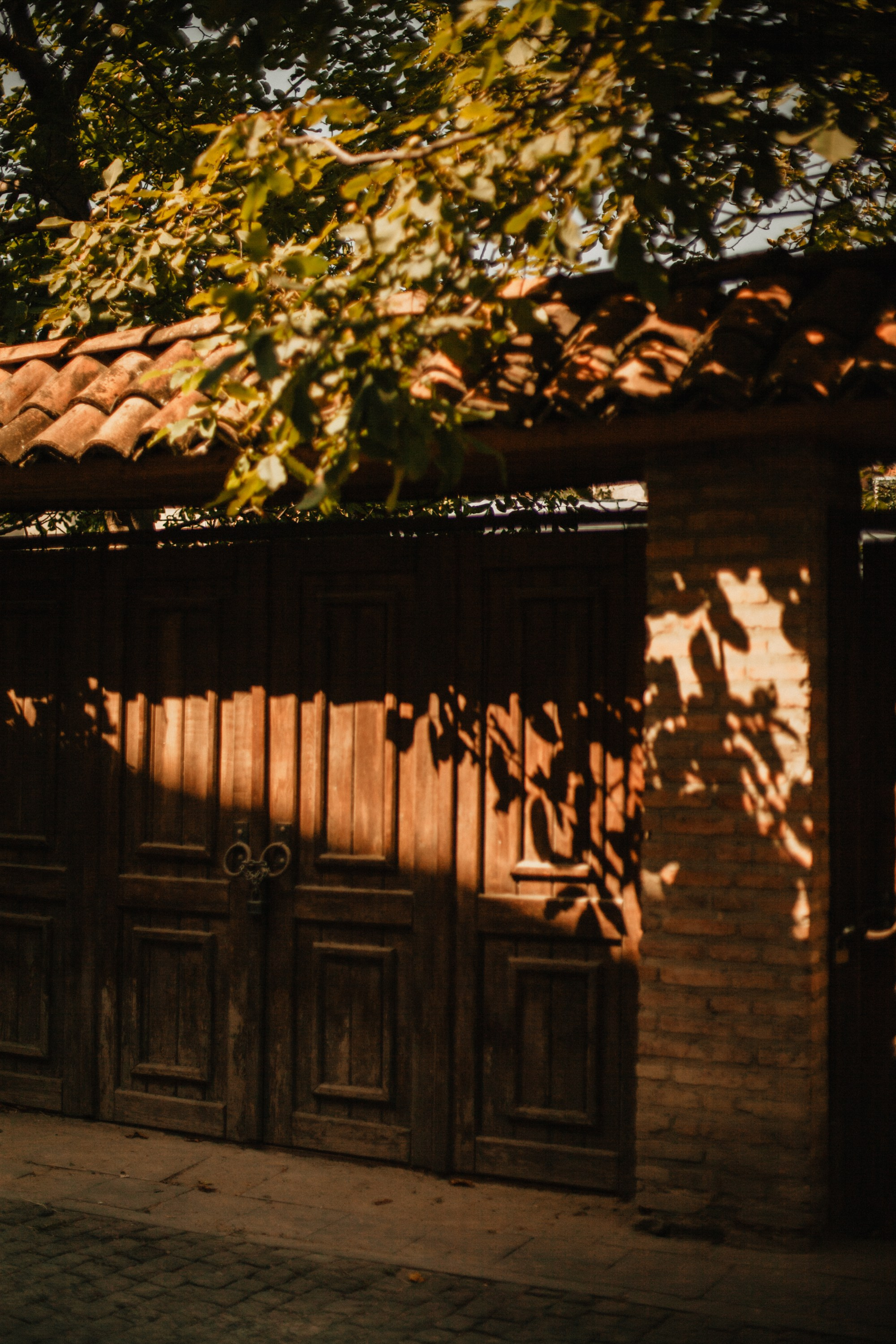 Грузинские каникулы. Violetta Skripka