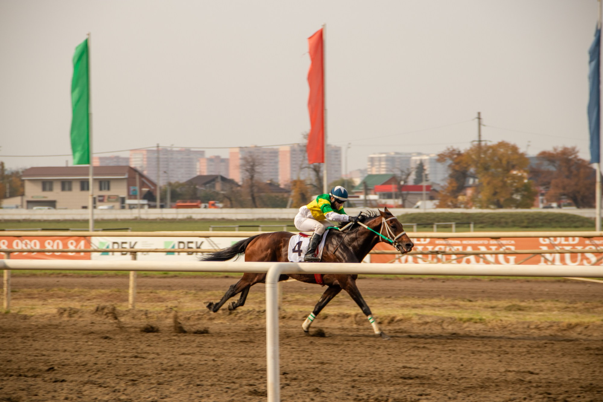 Закрытие скакового сезона на Краснодарском ипподроме. Репортажный, промышленный и маркетплейс-фотограф Дмитрий Чернат