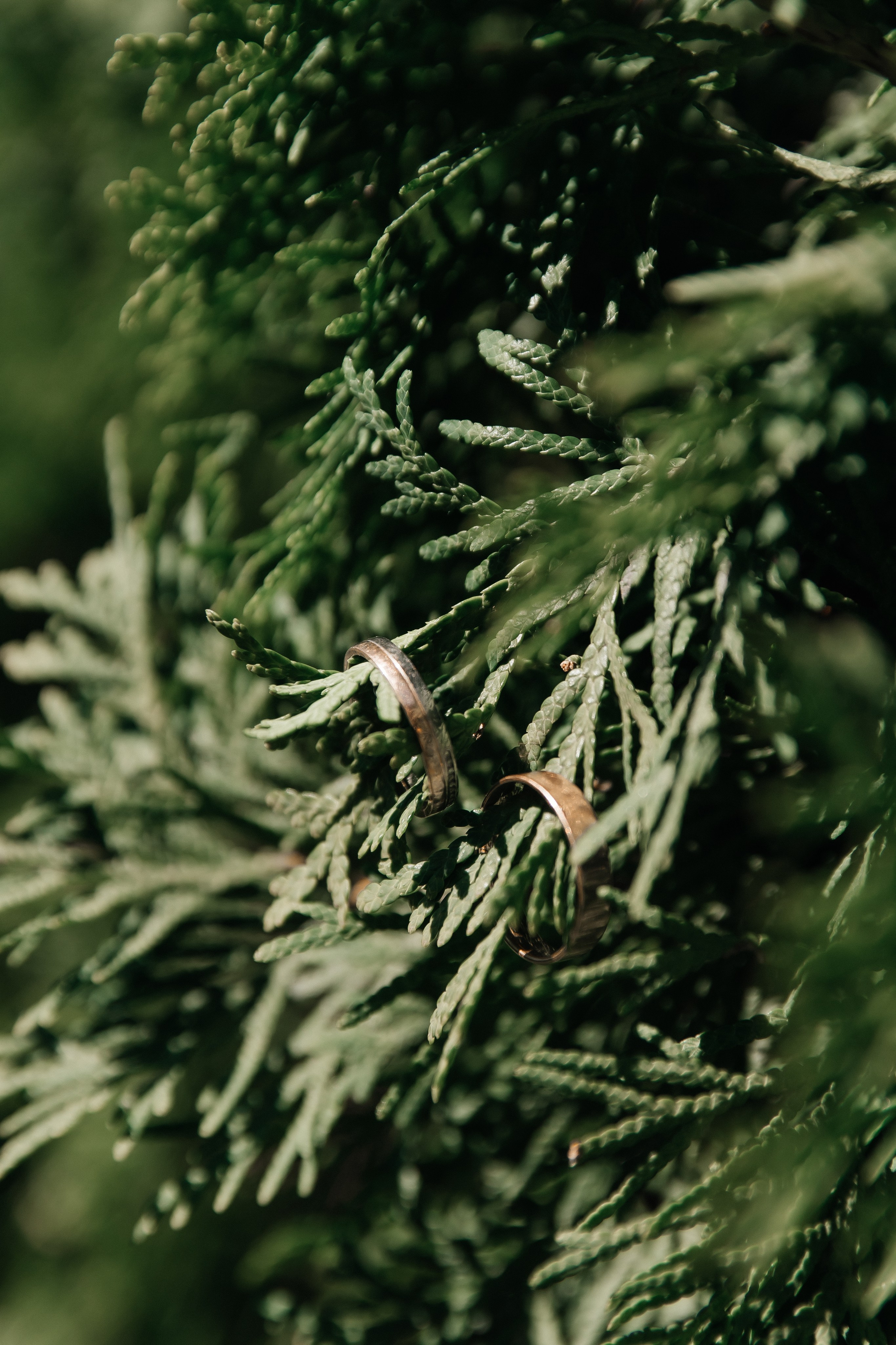 Илья и Света. Свадебный, женский и семейный фотограф в Уфе Анастасия Игнатьева