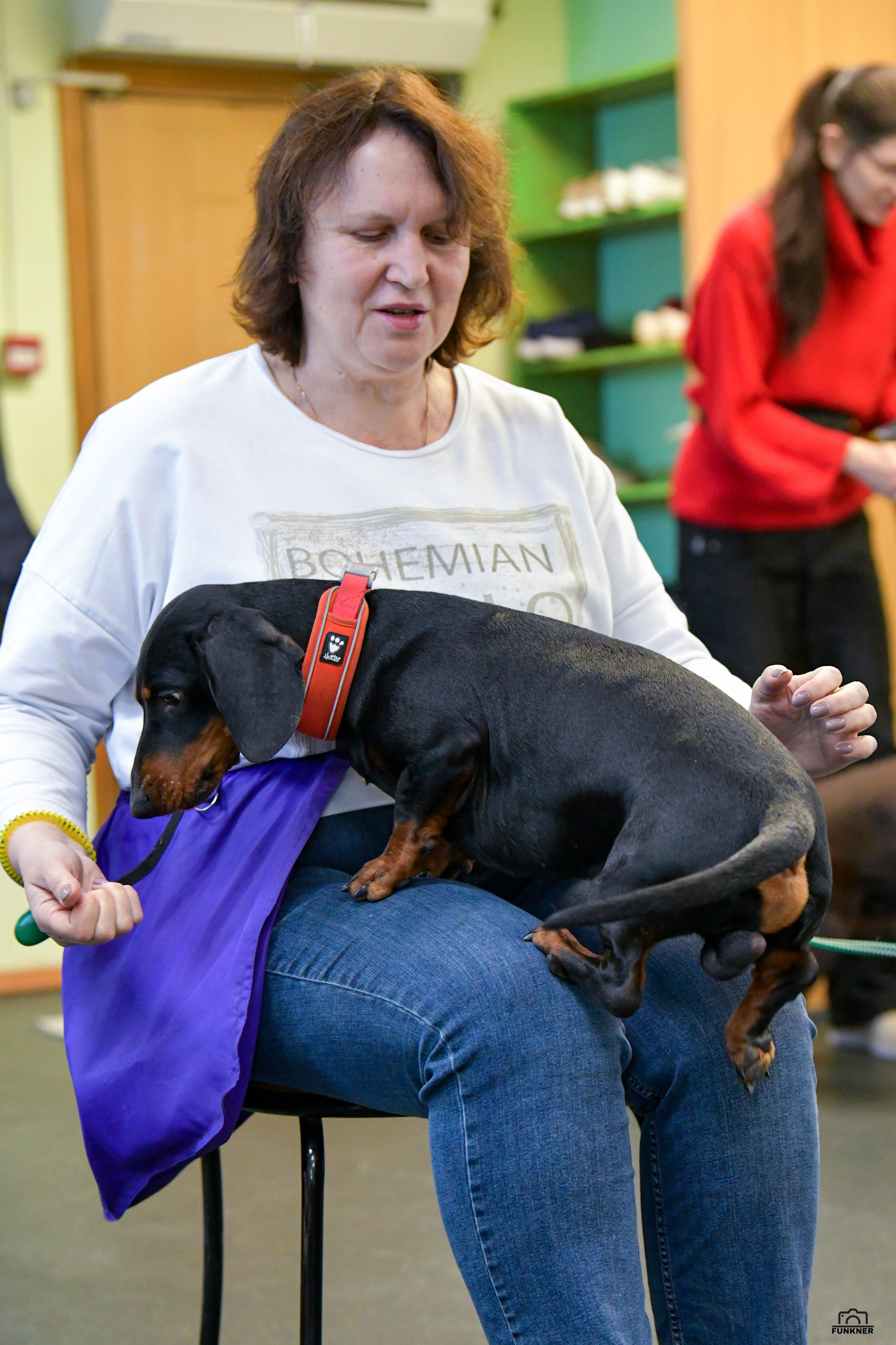 Кинологический клуб «Бодрый хвост». Свой взгляд через объектив