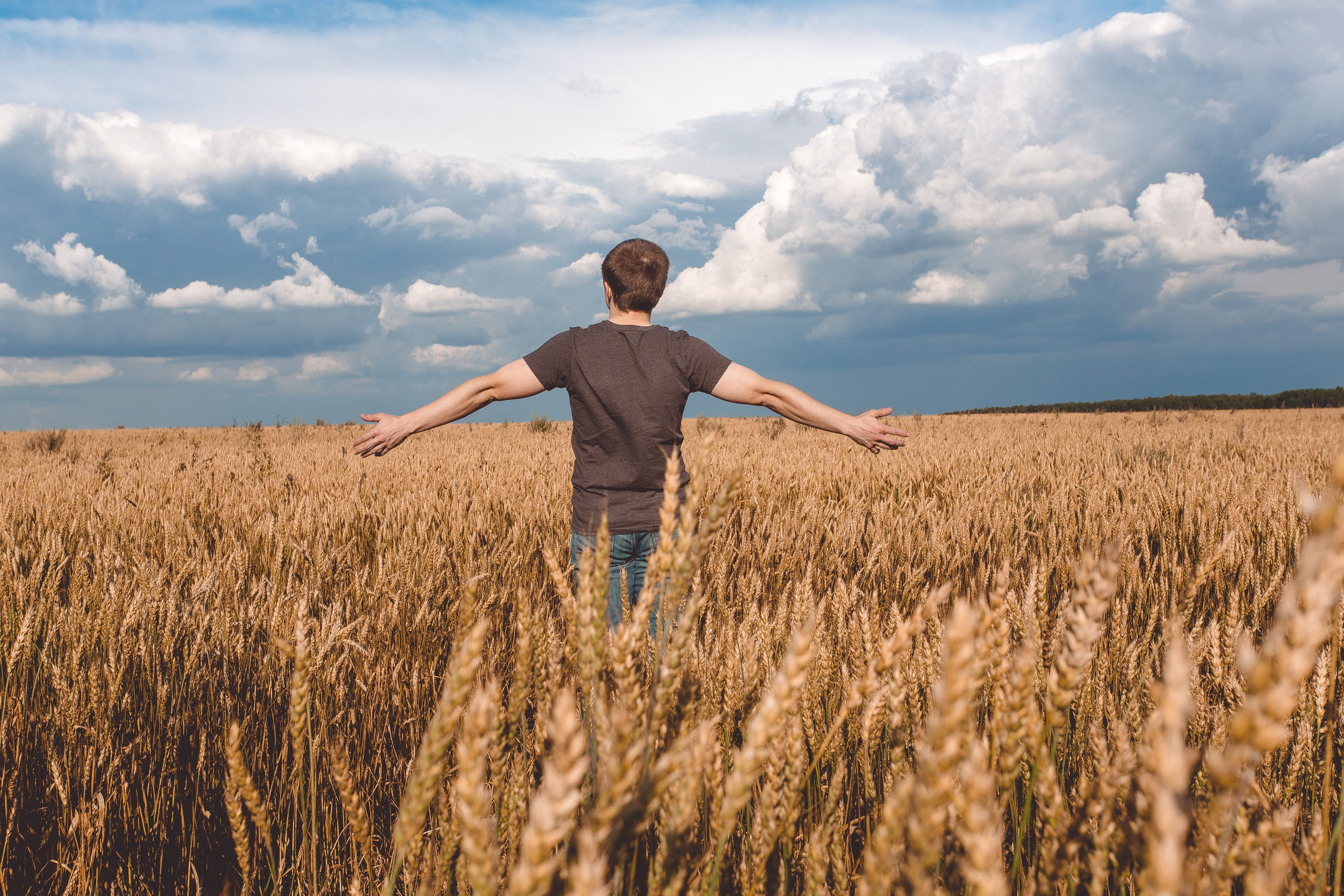 Фотосессия в пшеничном поле