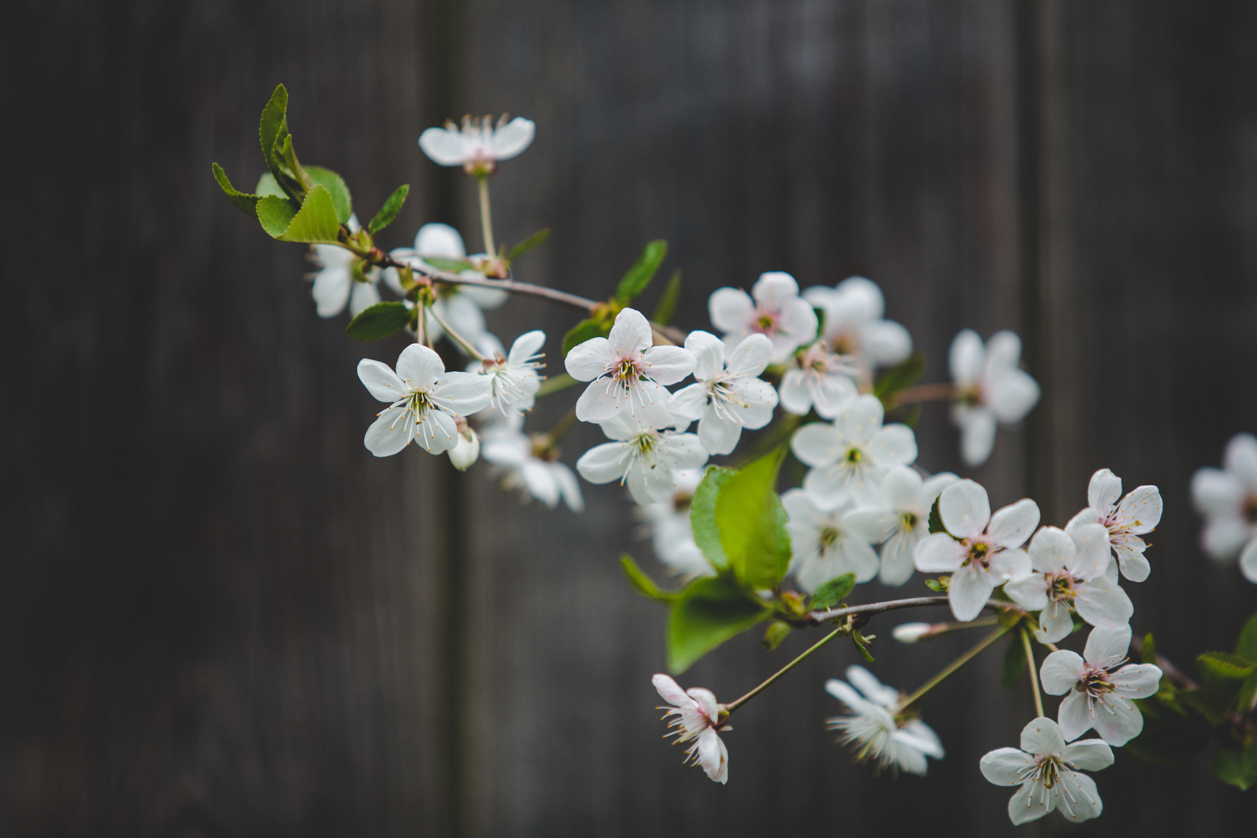 Коллекция пейзажных фотографий. Photographer Sonkina Tatiana (Tanya Ash)