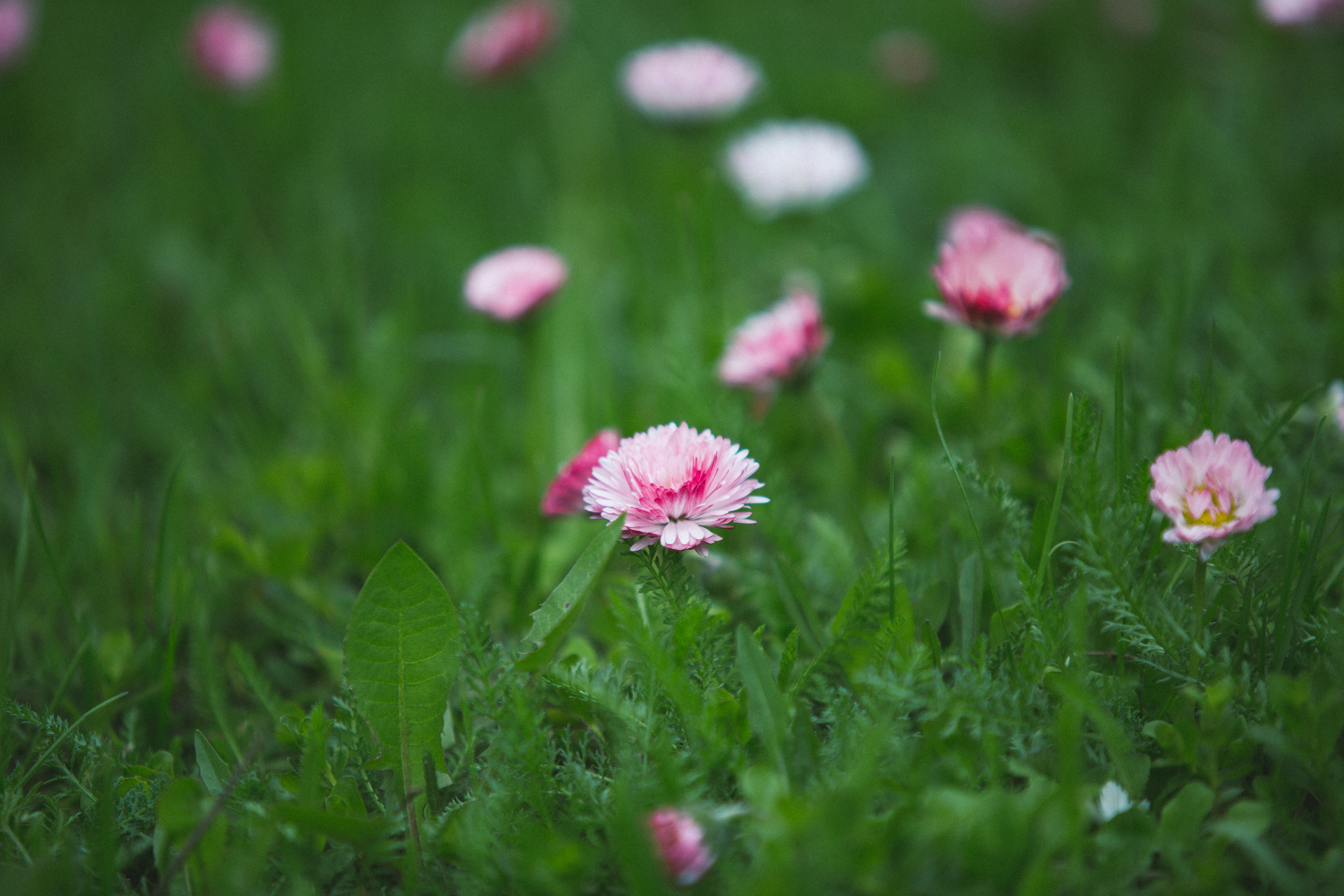 Коллекция пейзажных фотографий. Photographer Sonkina Tatiana (Tanya Ash)