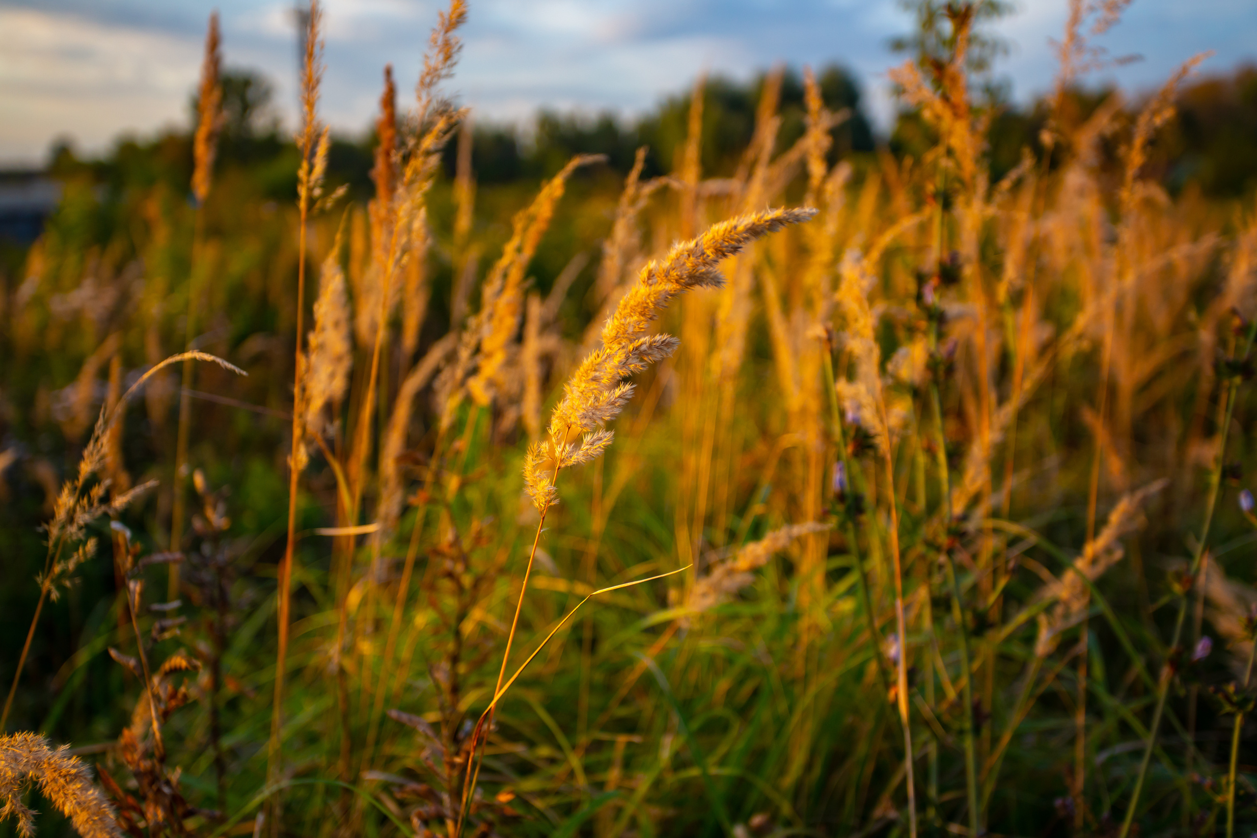 Коллекция пейзажных фотографий. Photographer Sonkina Tatiana (Tanya Ash)