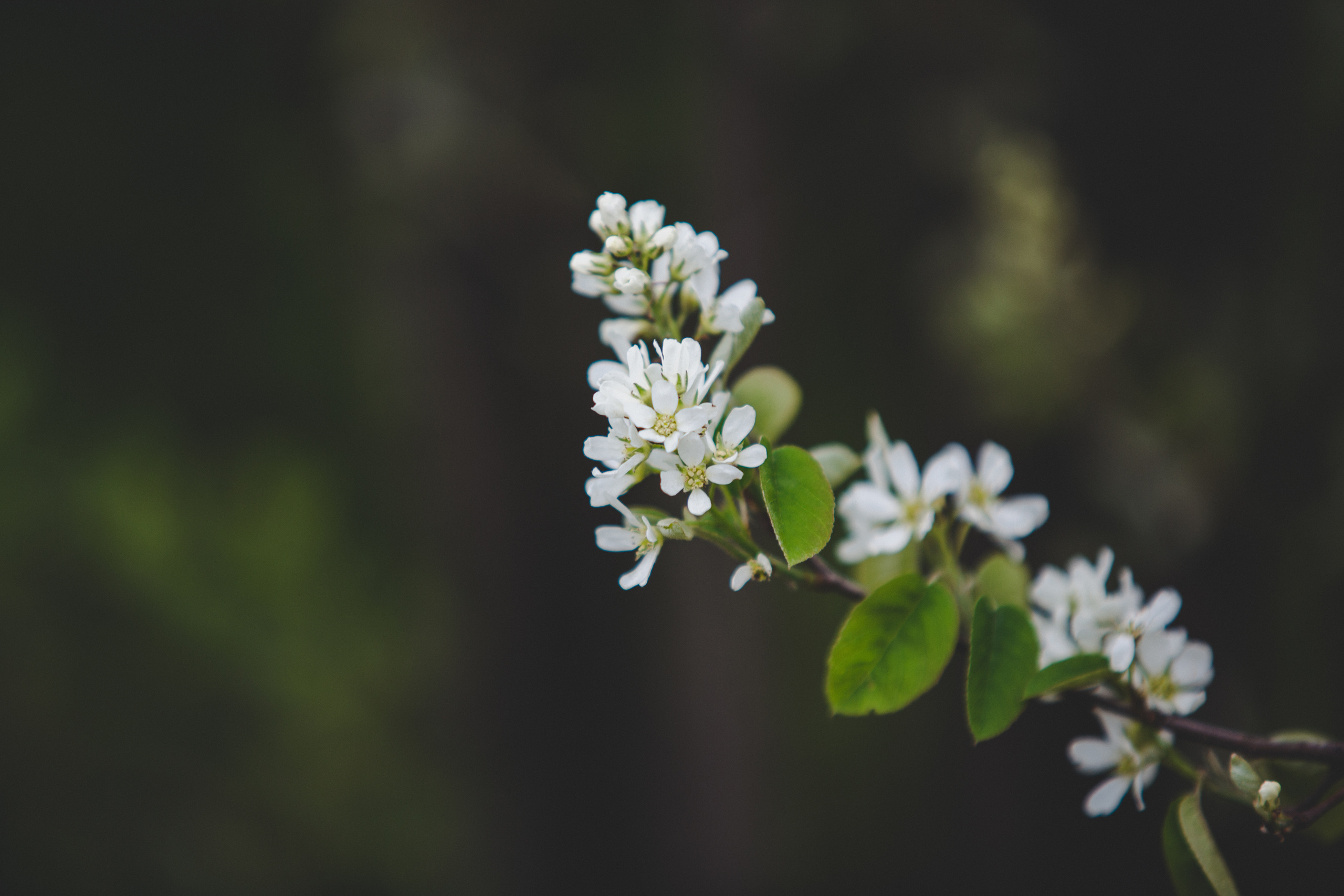Коллекция пейзажных фотографий. Photographer Sonkina Tatiana (Tanya Ash)