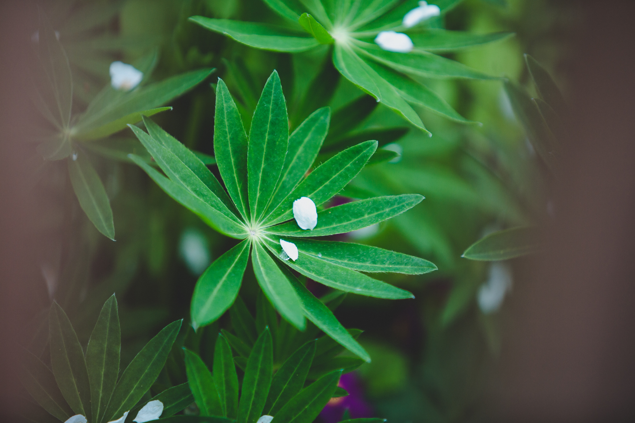 Коллекция пейзажных фотографий. Photographer Sonkina Tatiana (Tanya Ash)