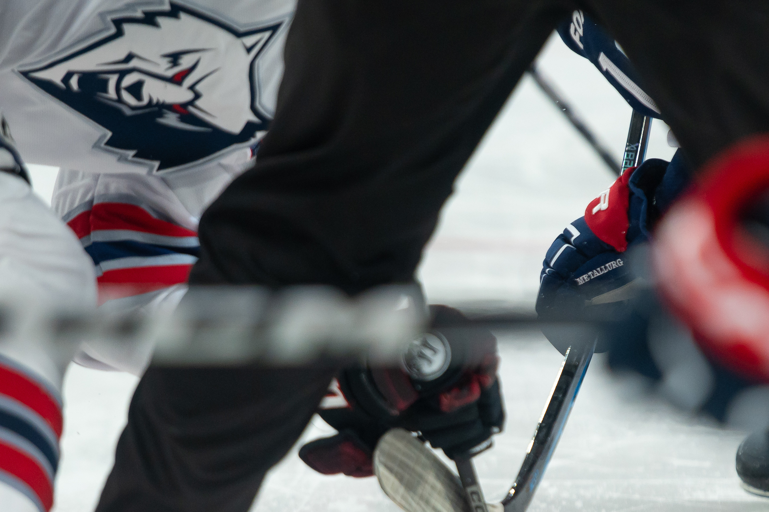 Металлург-Нефтехимик 02 10 2023. Спортивный и репортажный фотограф в Магнитогорске