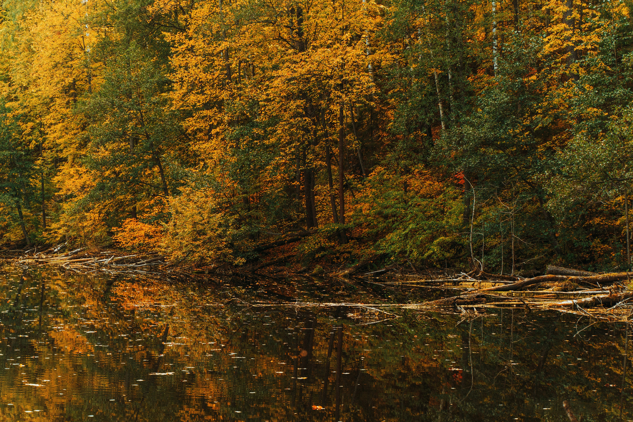 Good Friends Trip / команда локальных путешествий. Саша Копылов, фотограф в Казани