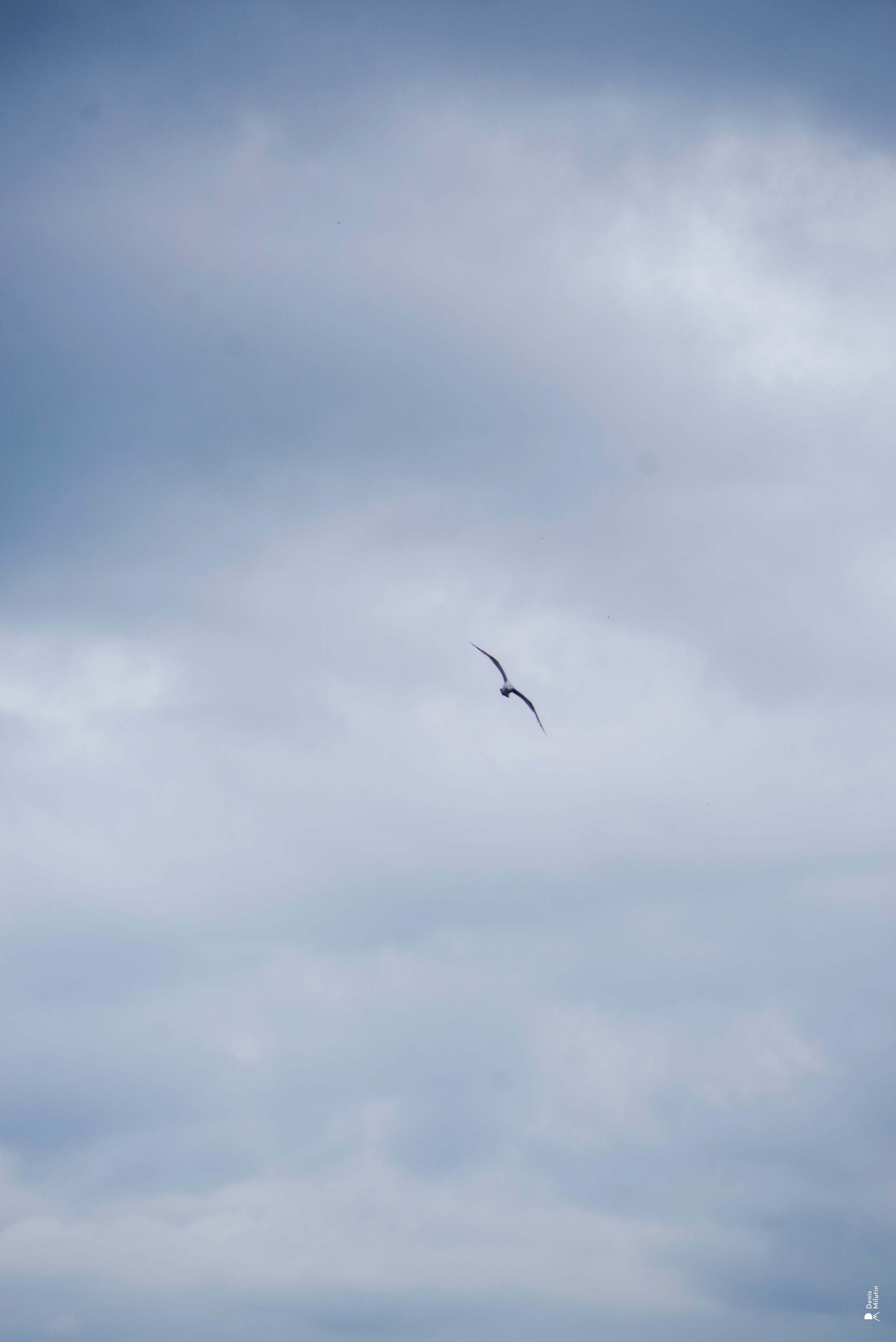 В отпуске с Артёмом. Портретный фотограф Денис Милютин