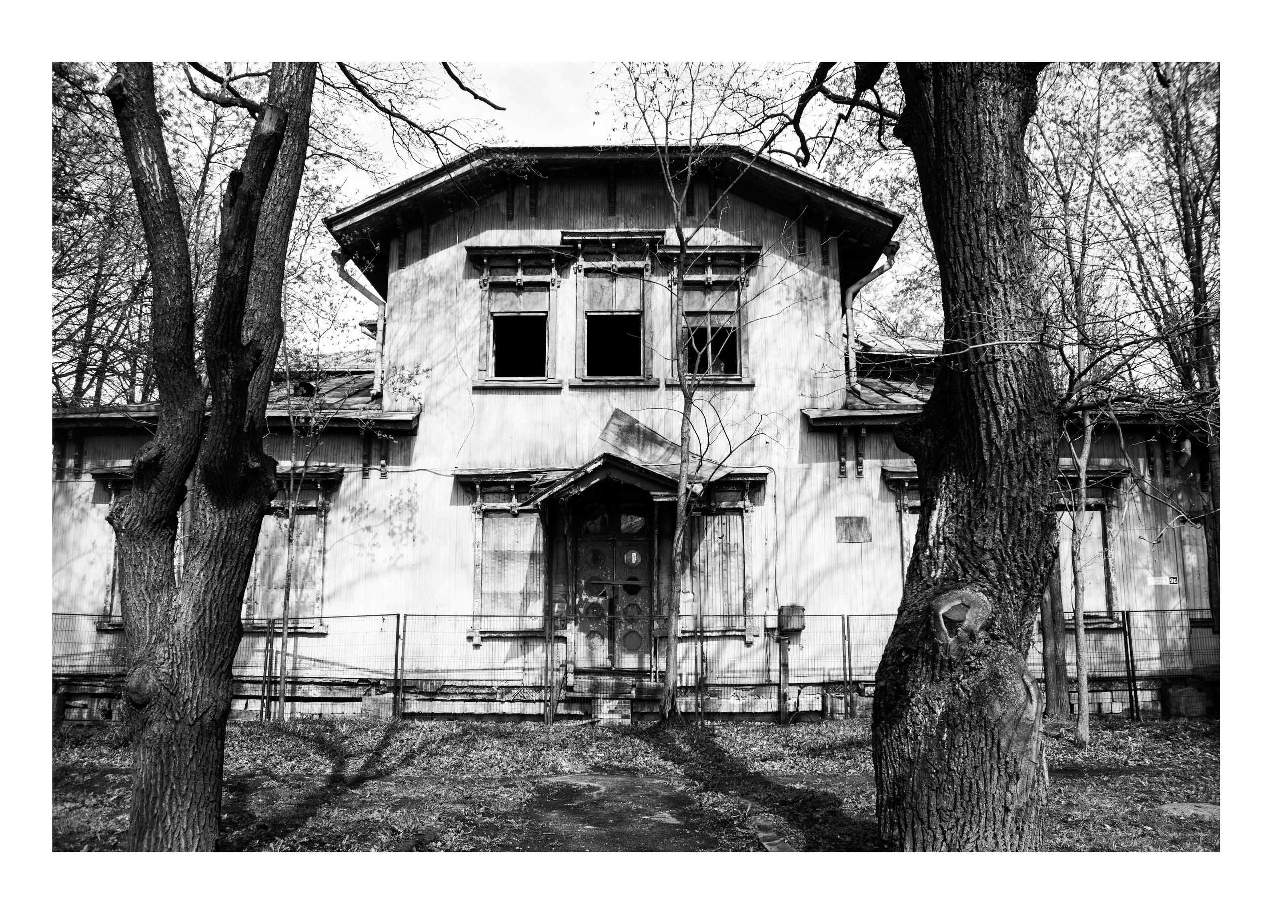 Употребить до. Екатерина Подлеснов