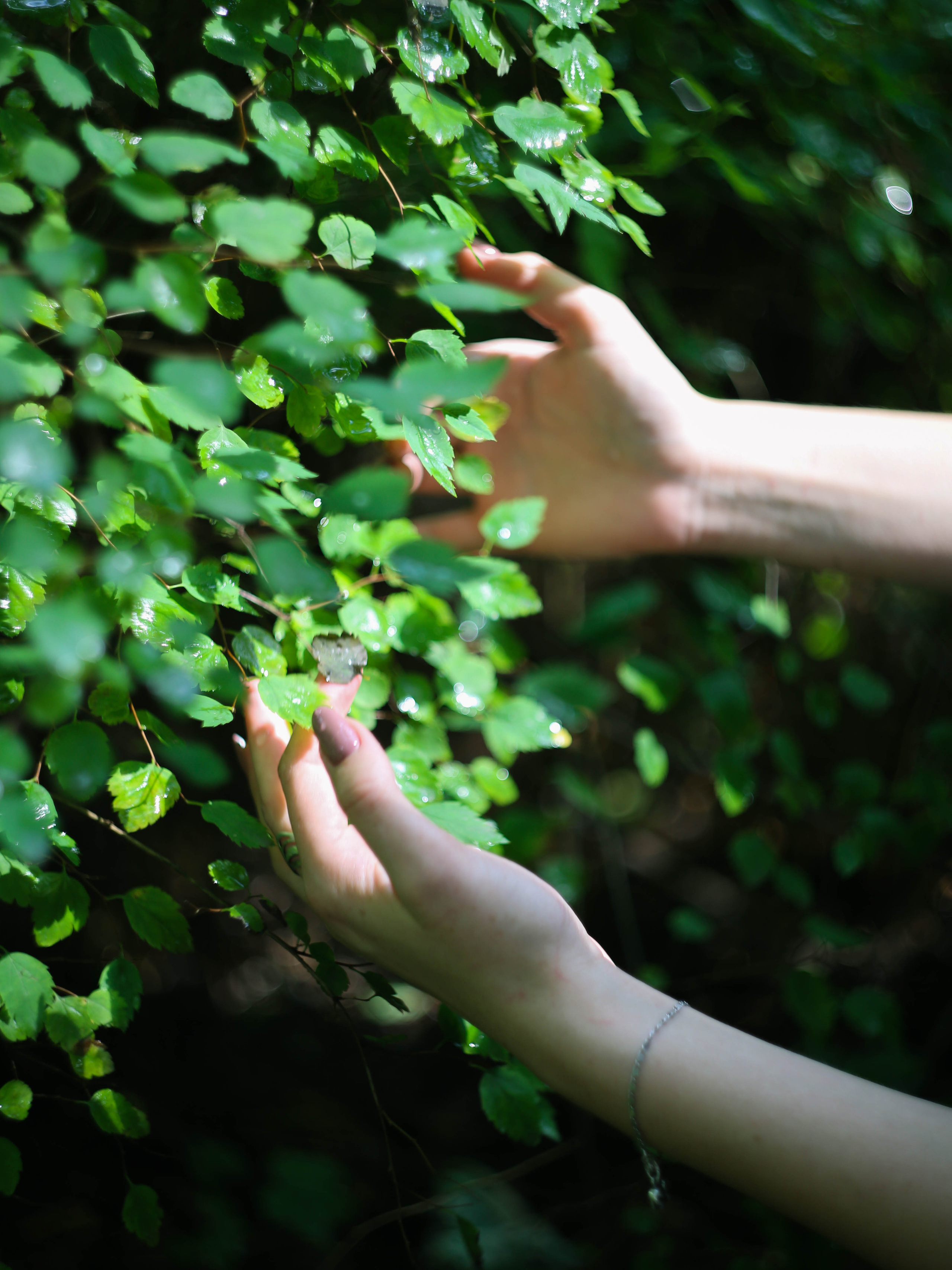 Женские. Екатерина Подлеснов