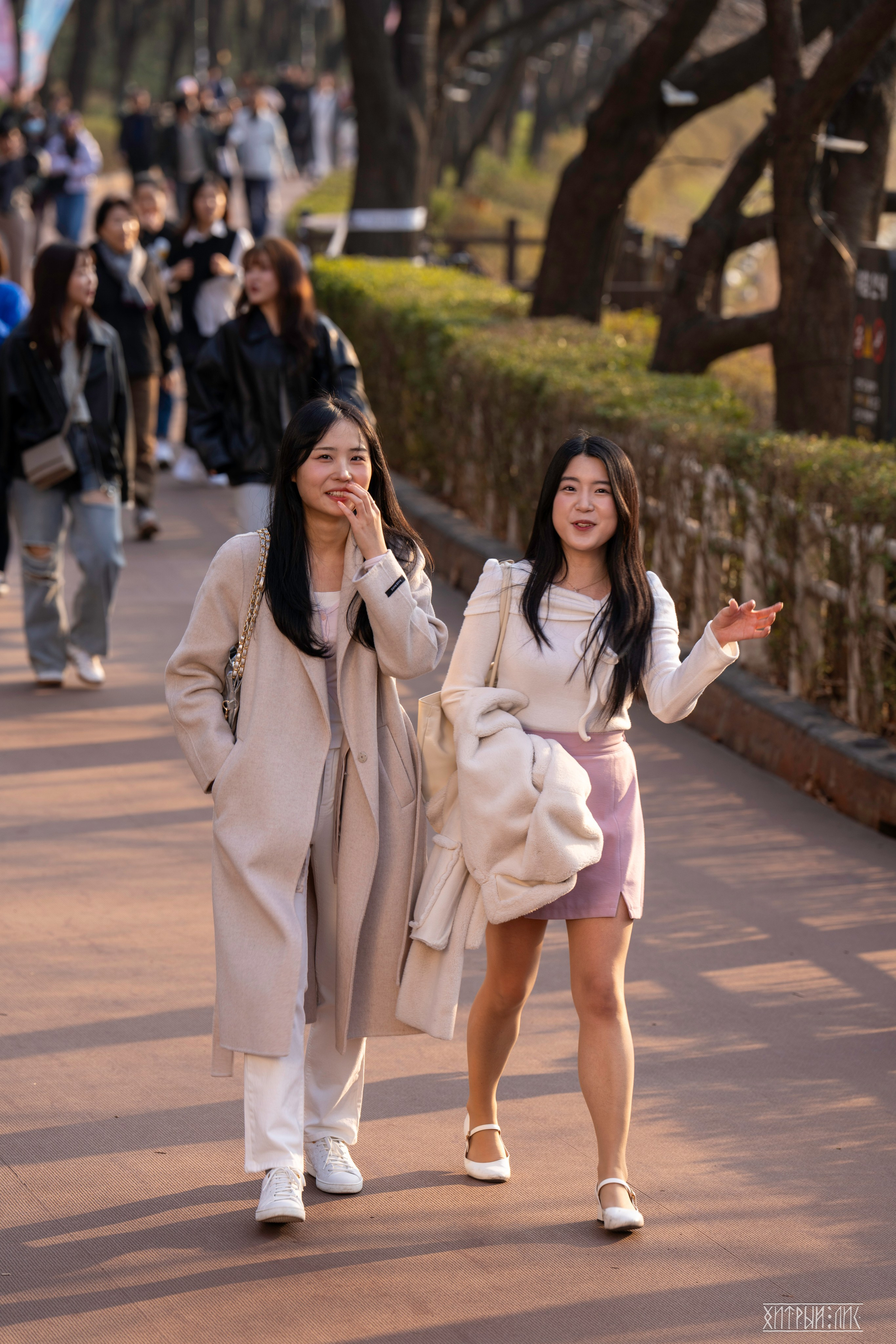 Южная Корея. Фотограф-путешественник Самойлов Максим «Sly Fox»