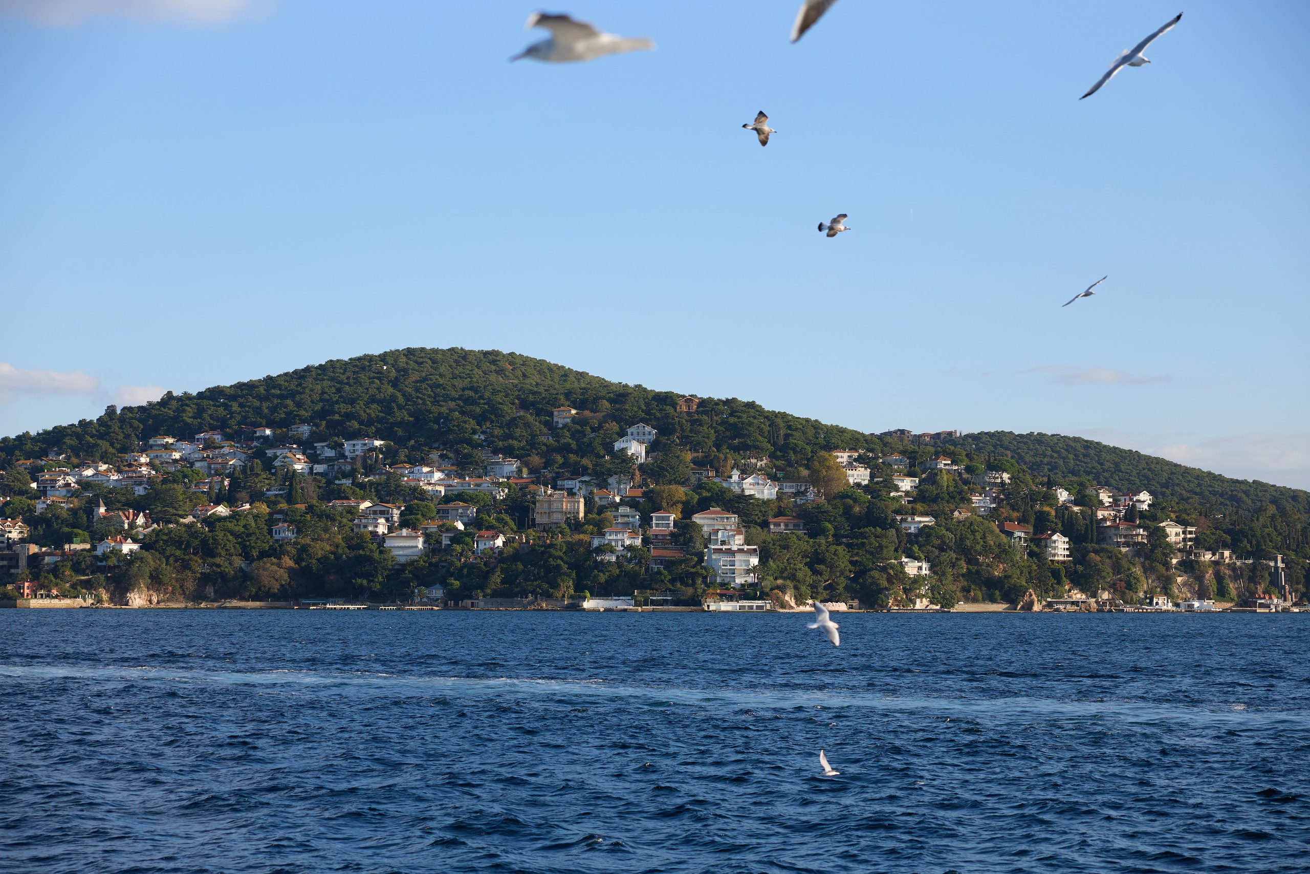 Стамбул 24. Фотограф Москва, Дима Пеллер