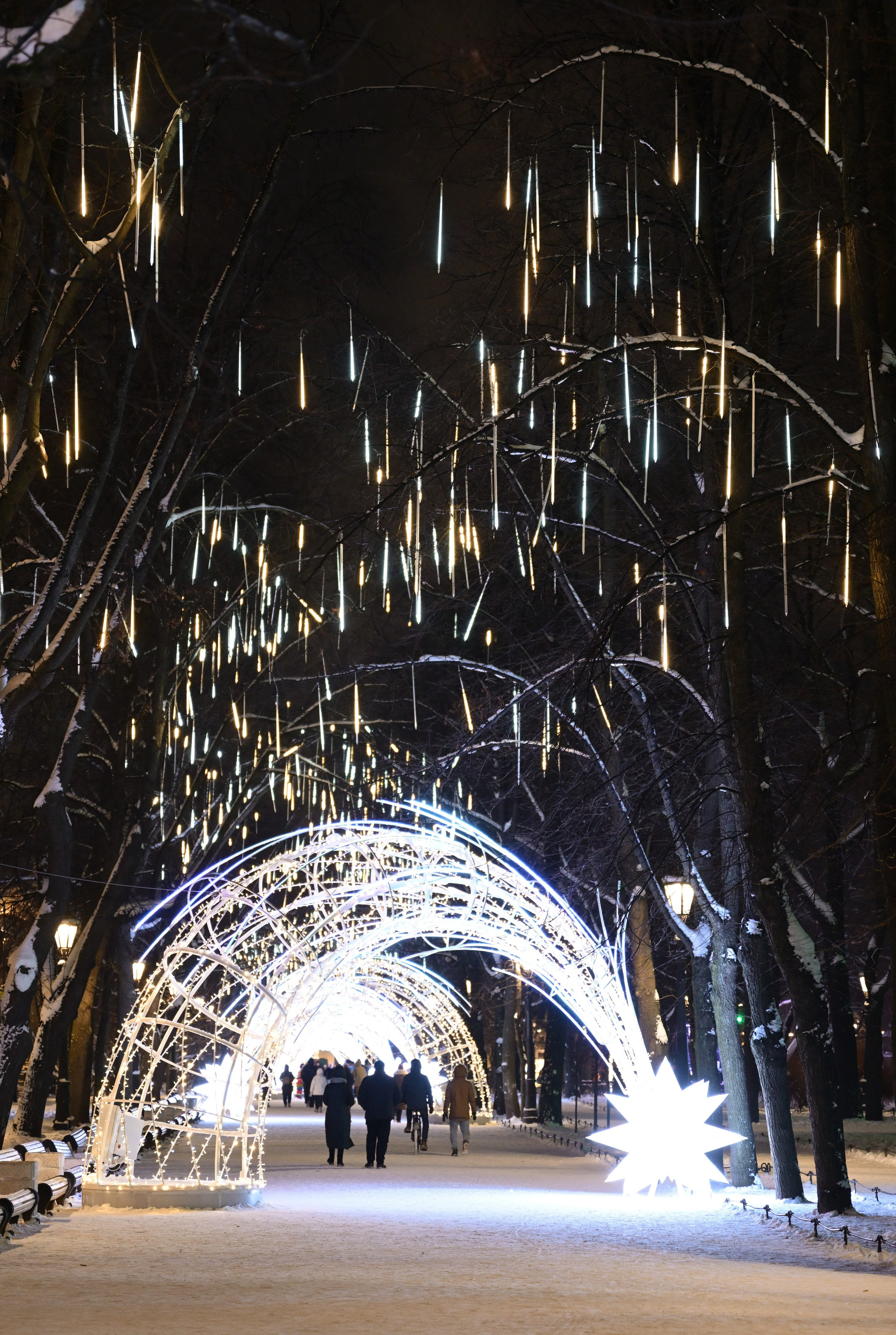 2025-2026 Санкт-Петербург. Фотосессии в центре и в парках Санкт-Петербурга