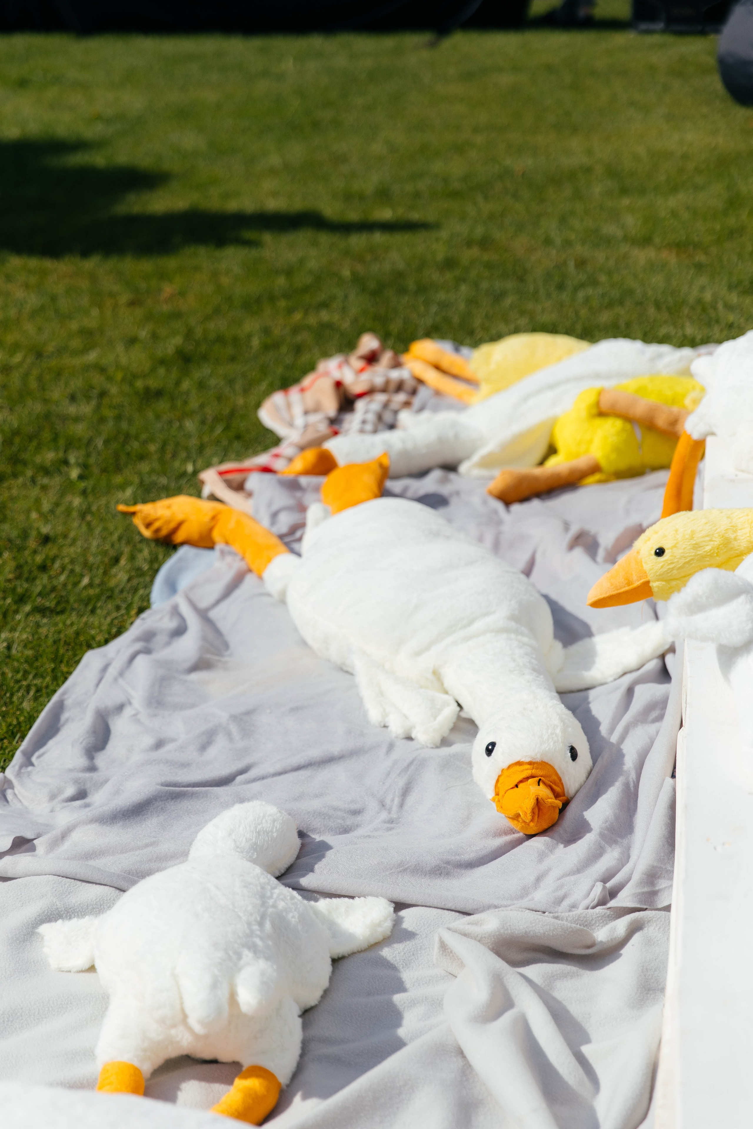 ДР Лены. Профессиональный фотограф Тольятти | Самара | Москва | Сочи