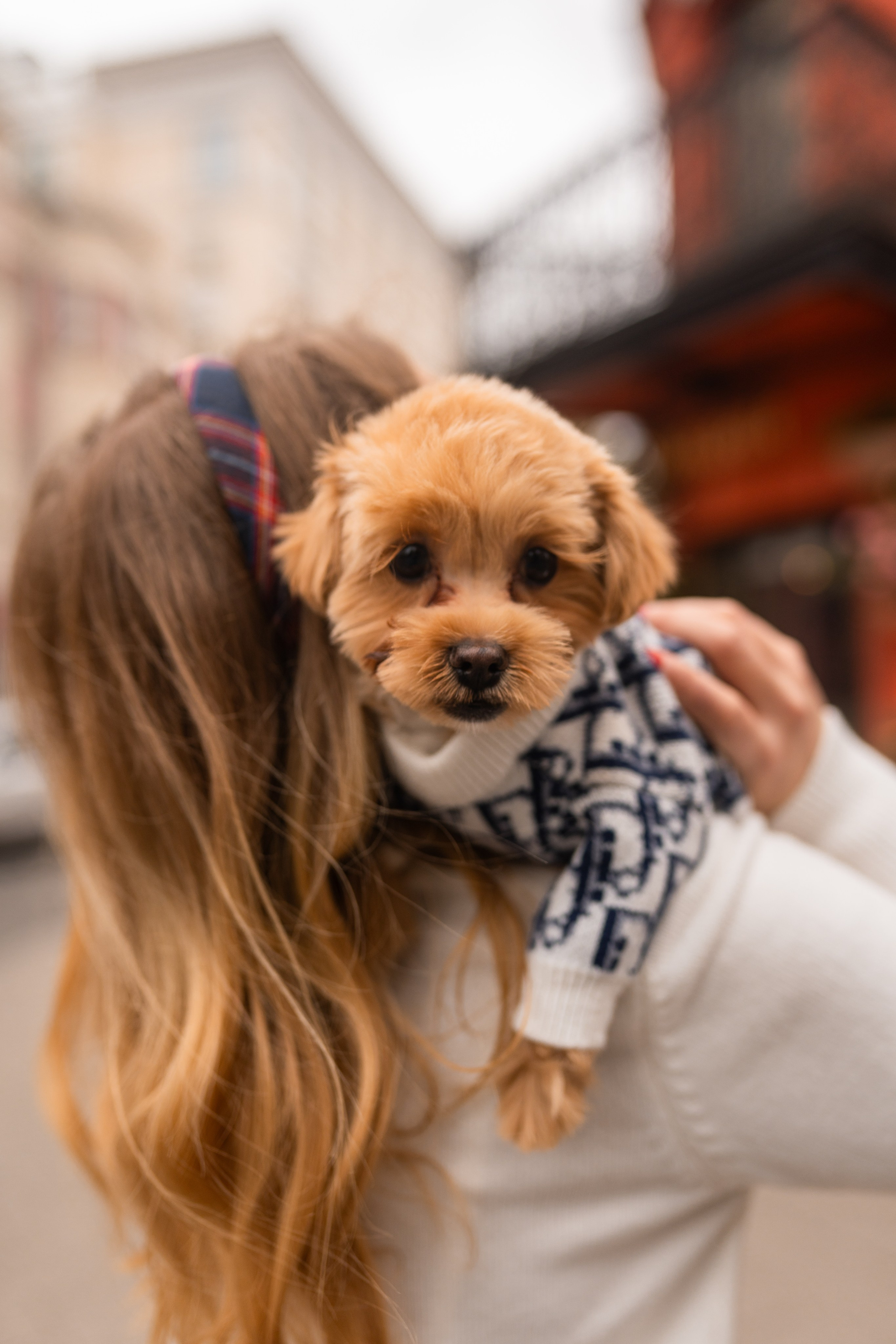 Индивидуальная прогулка на Патриках. Свадебный фотограф в Москве Анна Полушина