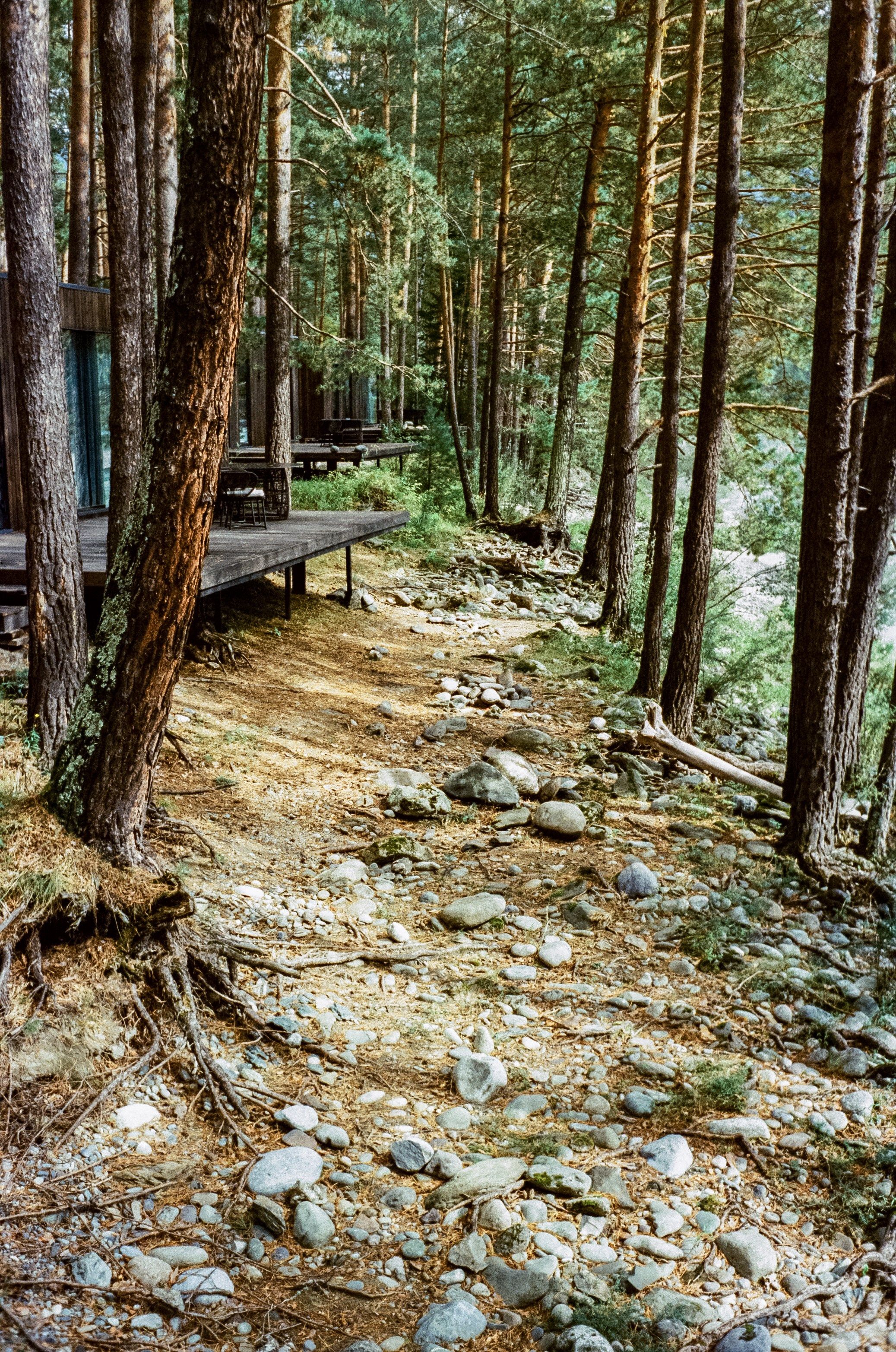 Горный Алтай на пленку