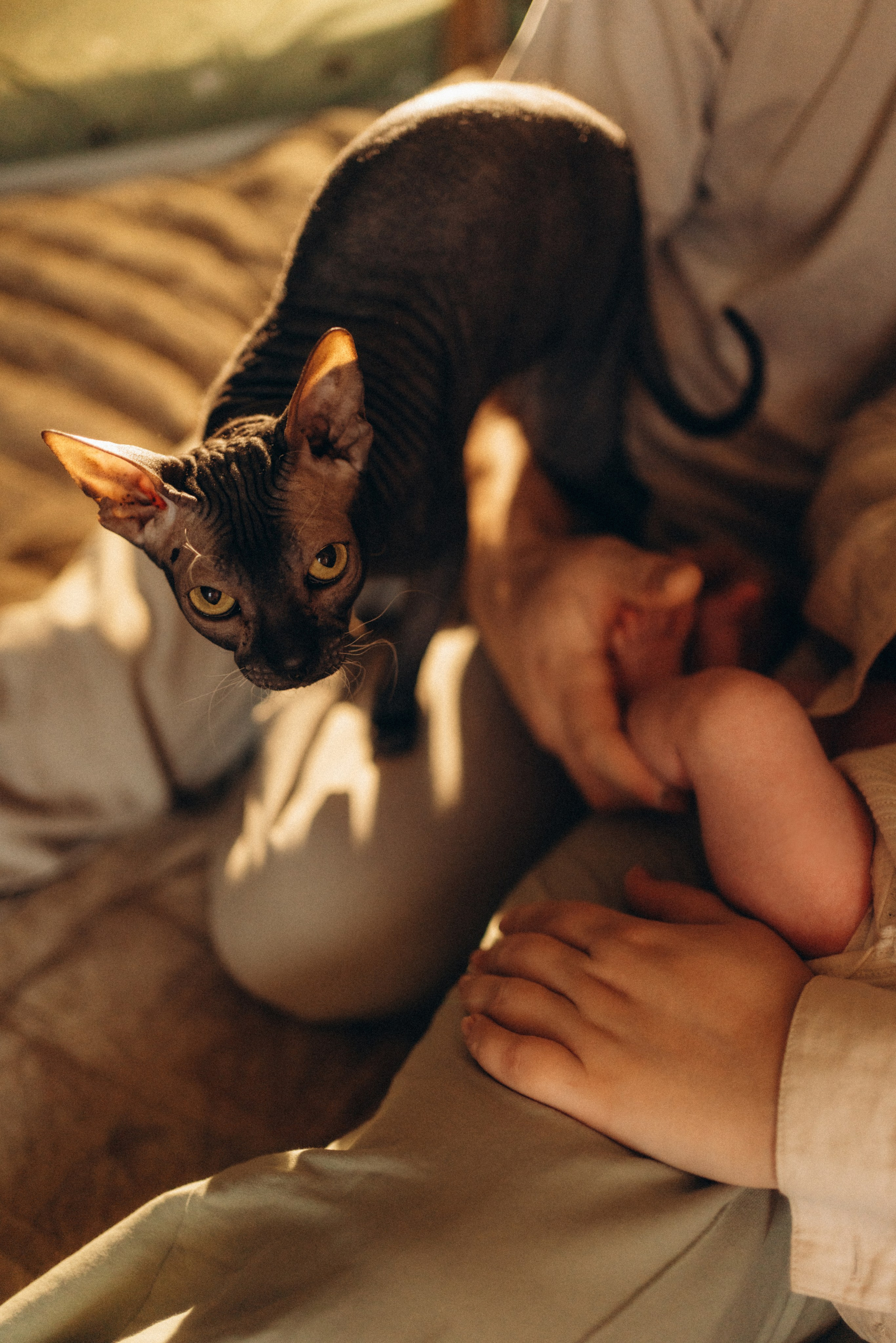 Настя, Максим и Амелия. Фотограф в Минске — Мария Миллс