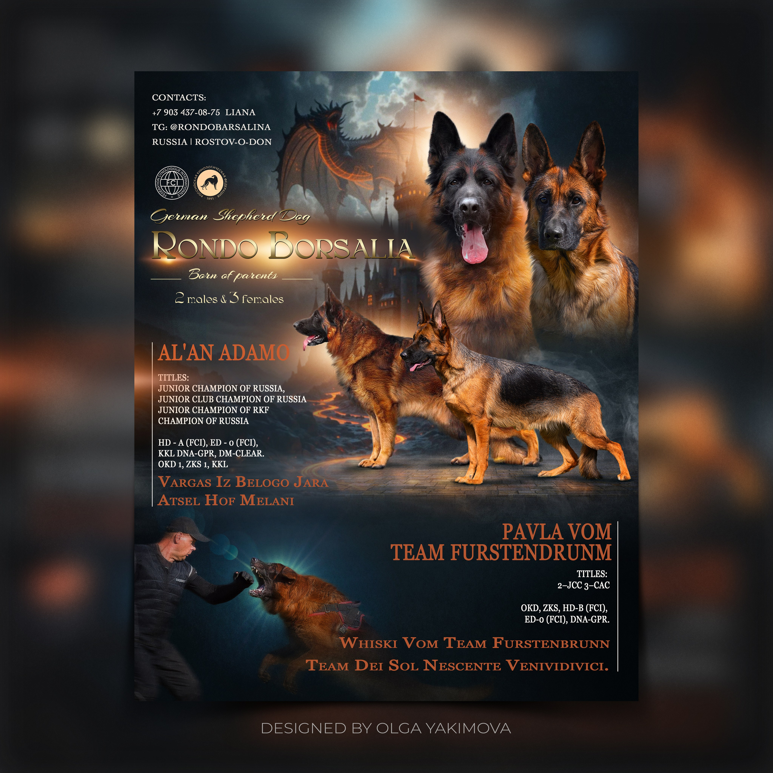 Animal presentation. Фотограф