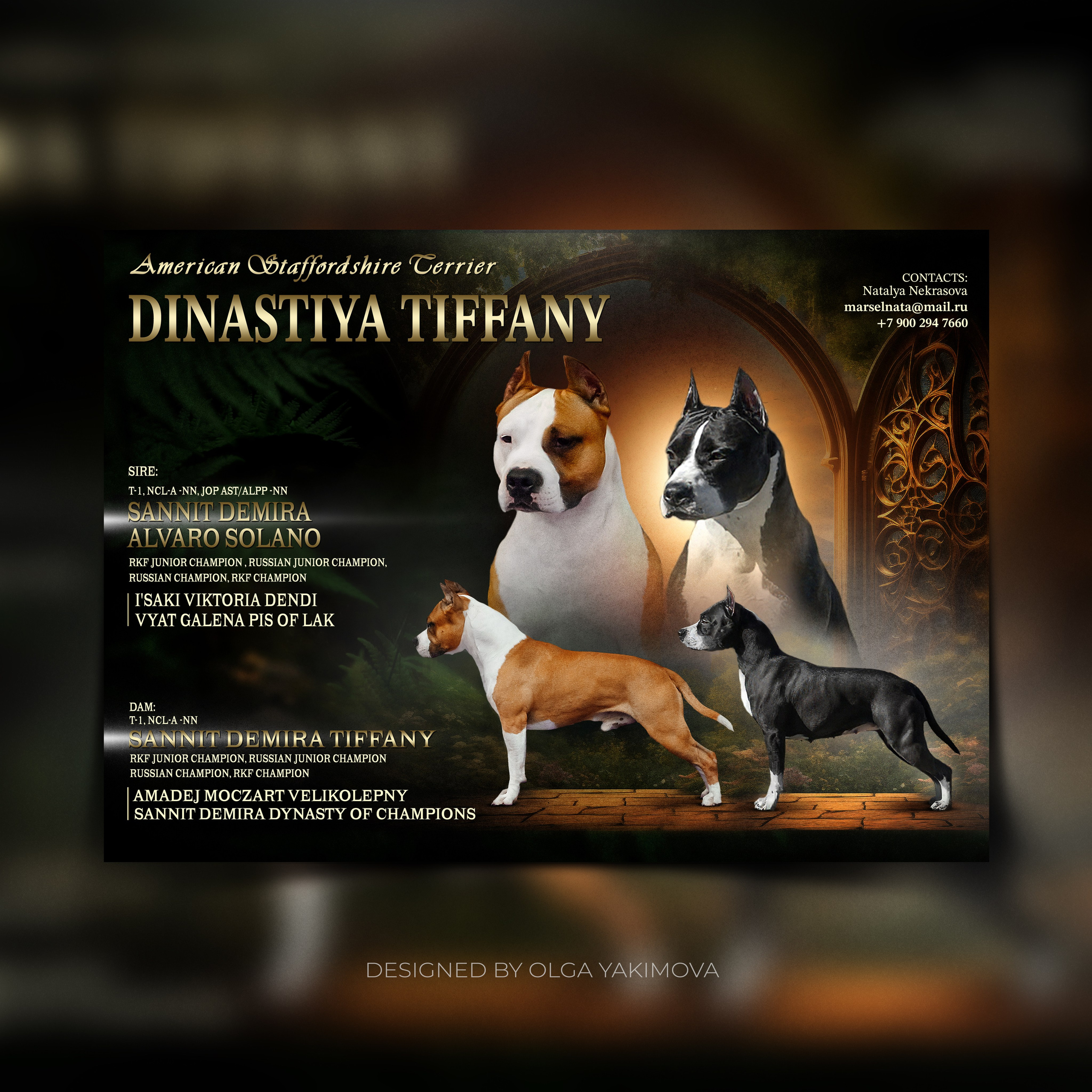 Animal presentation. Фотограф