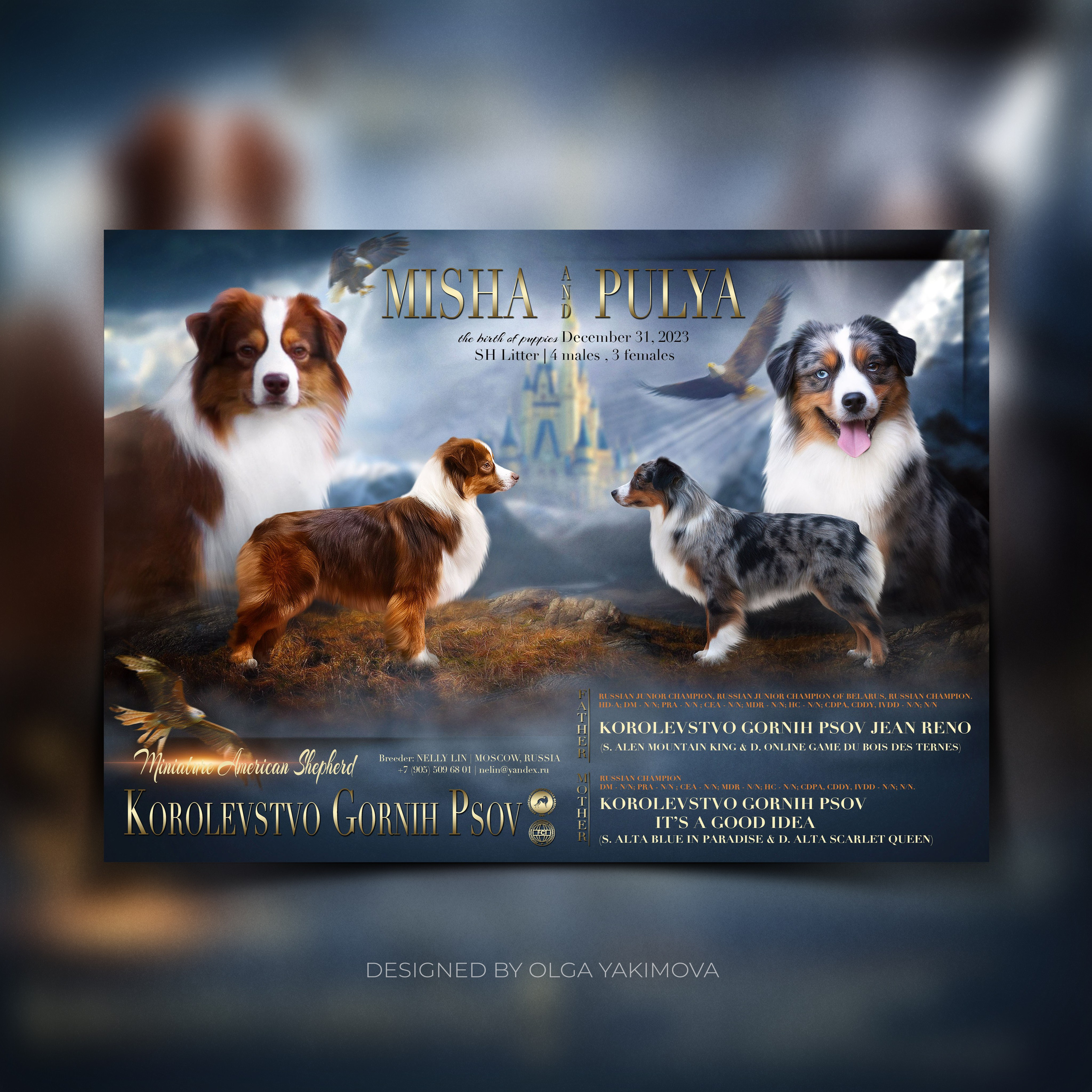 Animal presentation. Фотограф
