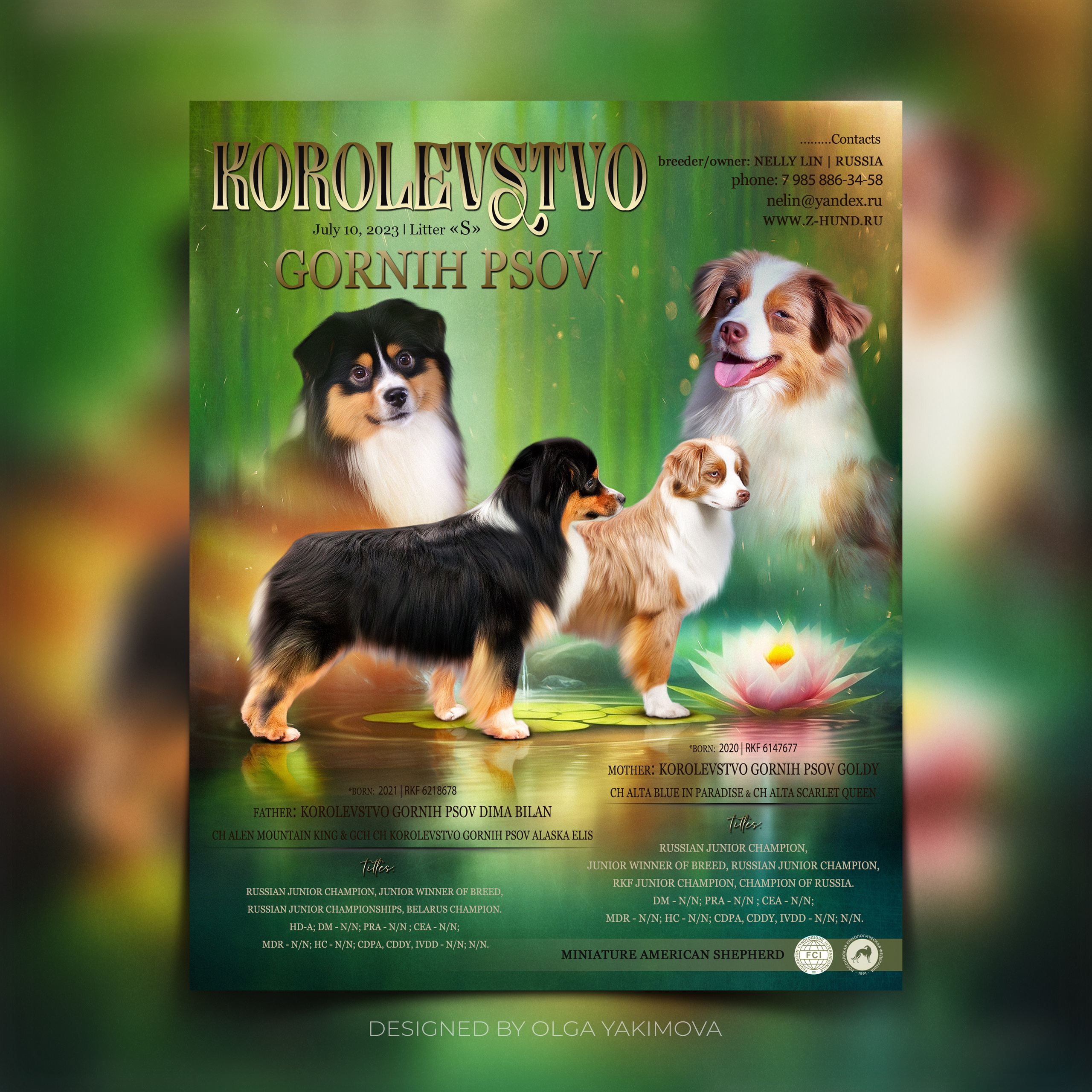 Animal presentation. Фотограф
