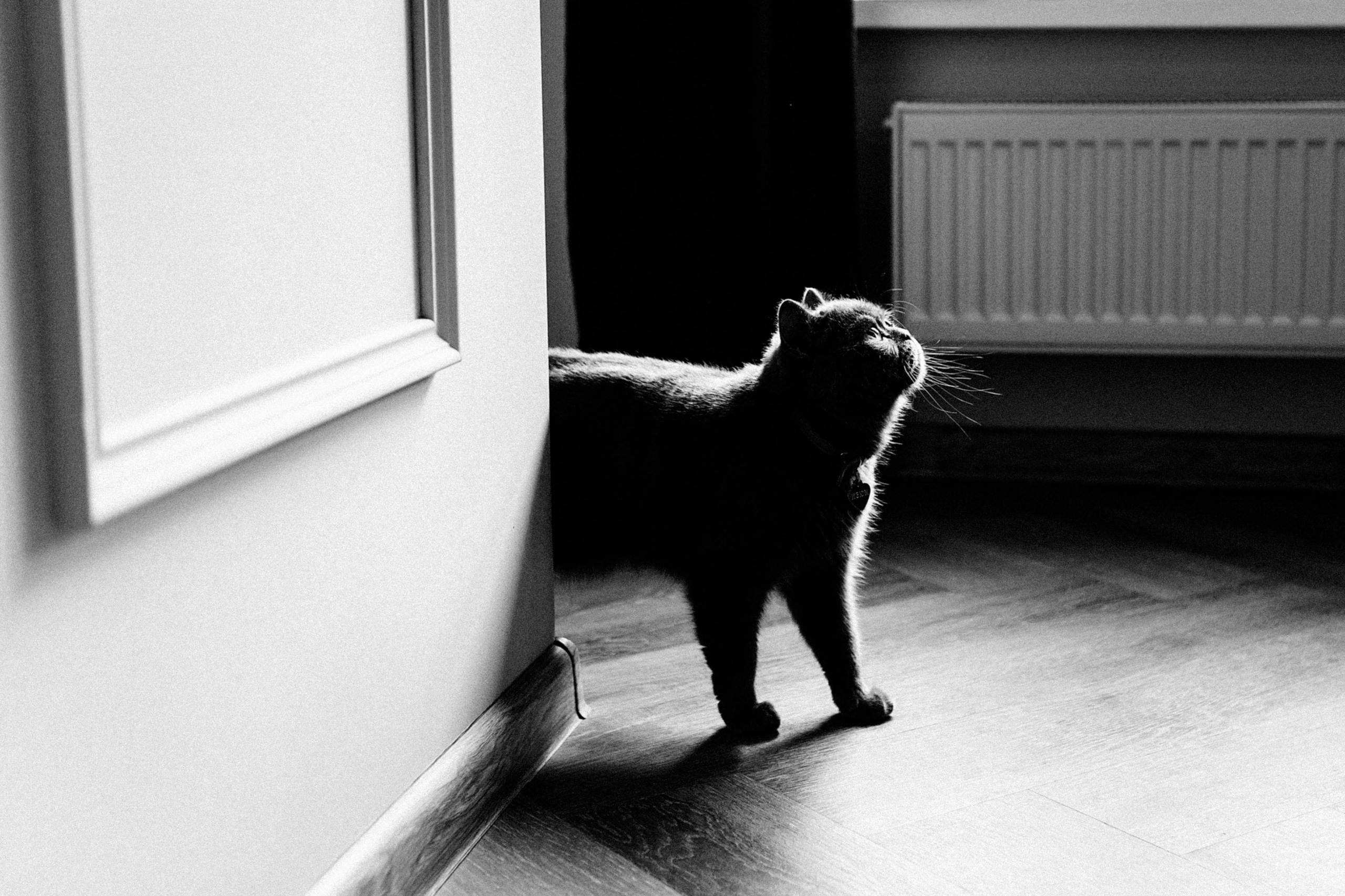 I&I. Пушистая Сова - Свадебный и портретный фотограф Воронеж, Москва, Питер