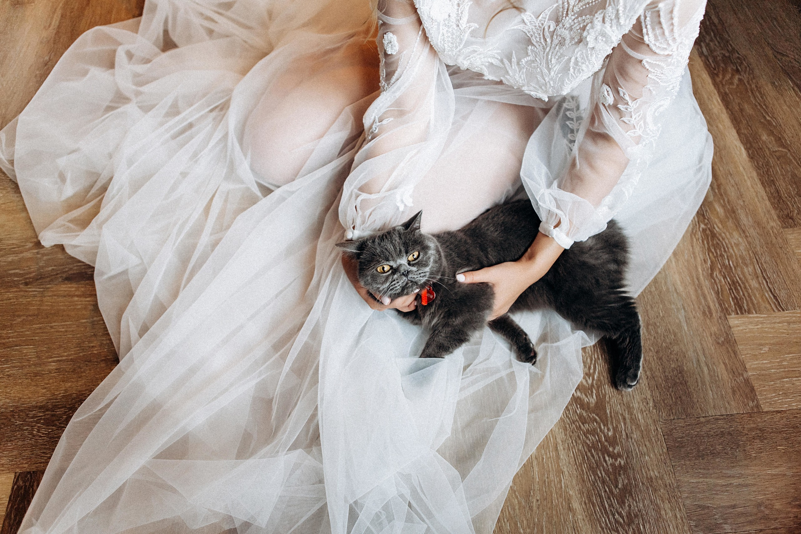 I&I. Пушистая Сова - Свадебный и портретный фотограф Воронеж, Москва, Питер