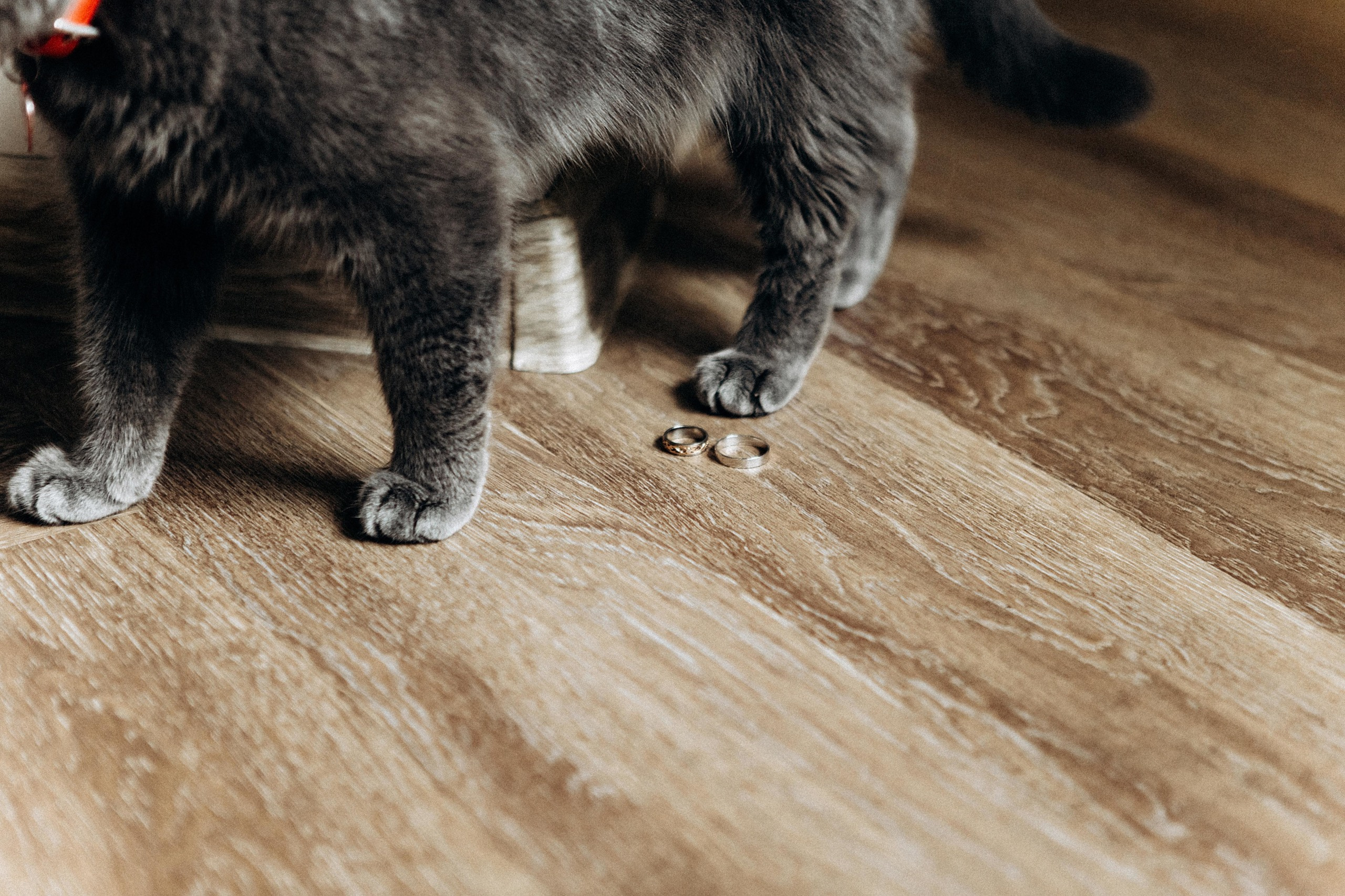 I&I. Пушистая Сова - Свадебный и портретный фотограф Воронеж, Москва, Питер