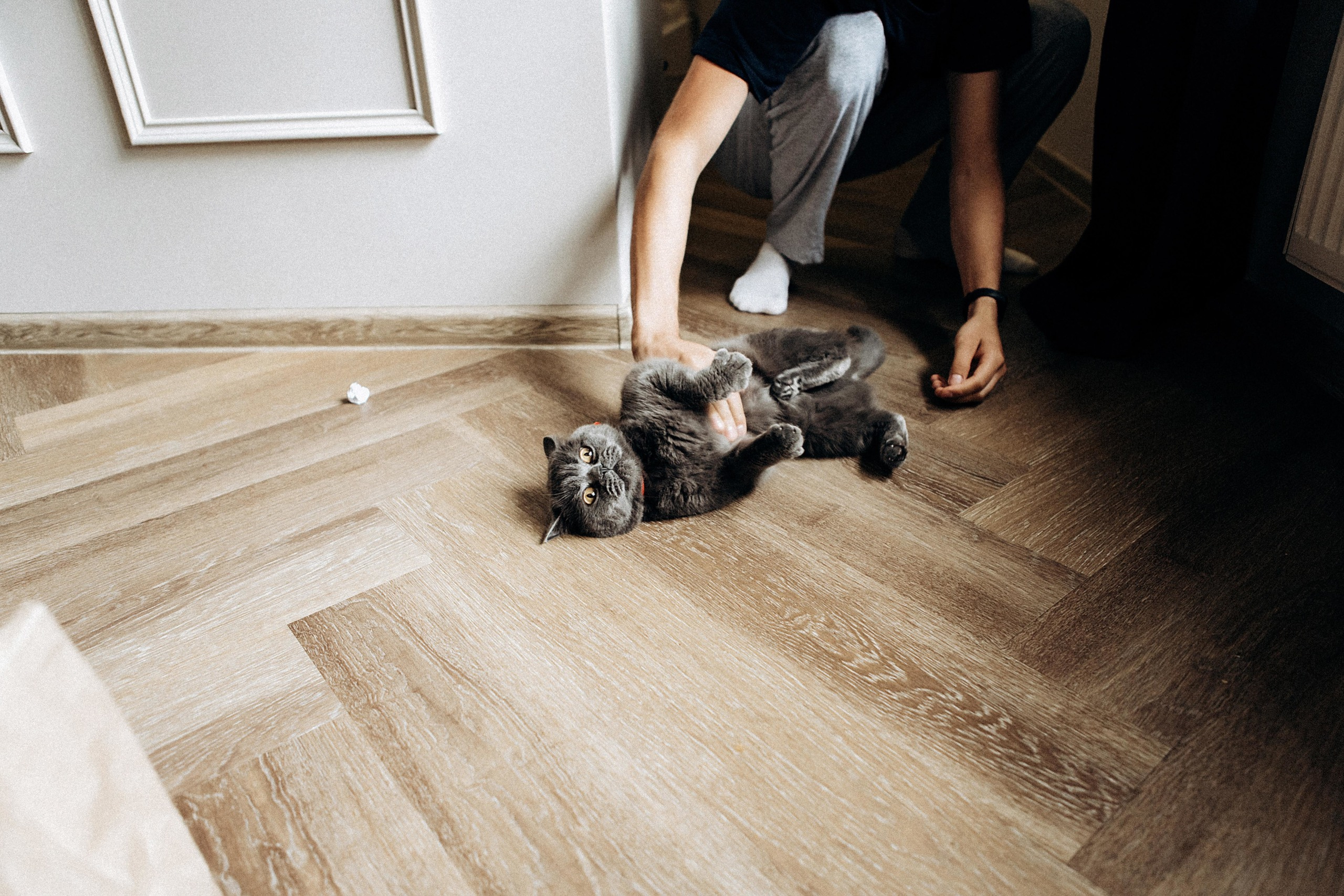 I&I. Пушистая Сова - Свадебный и портретный фотограф Воронеж, Москва, Питер