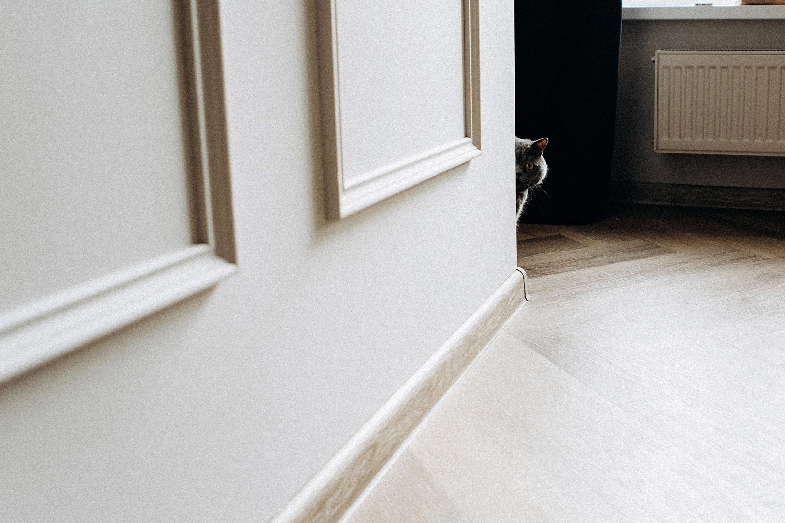 I&I. Пушистая Сова - Свадебный и портретный фотограф Воронеж, Москва, Питер