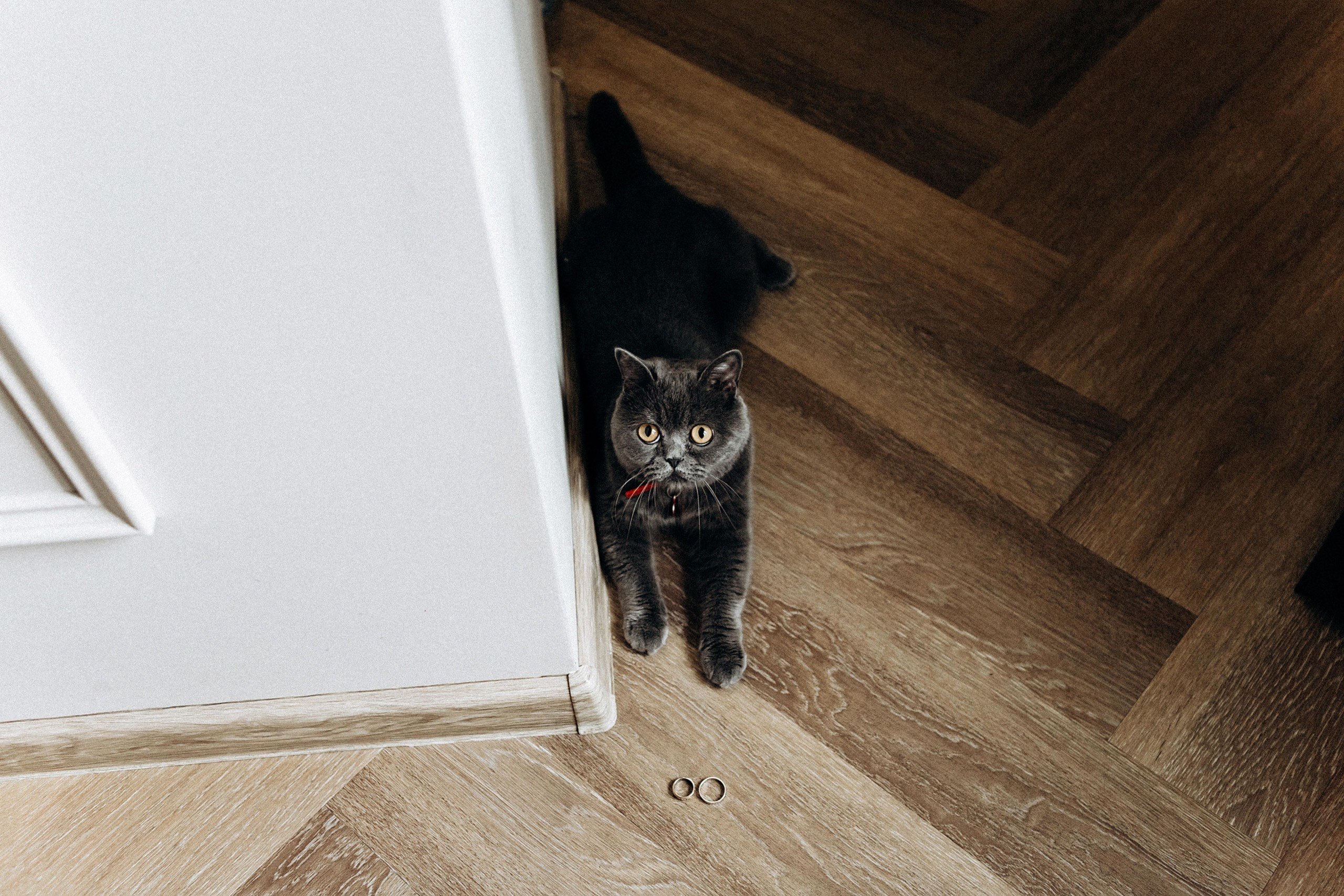 I&I. Пушистая Сова - Свадебный и портретный фотограф Воронеж, Москва, Питер