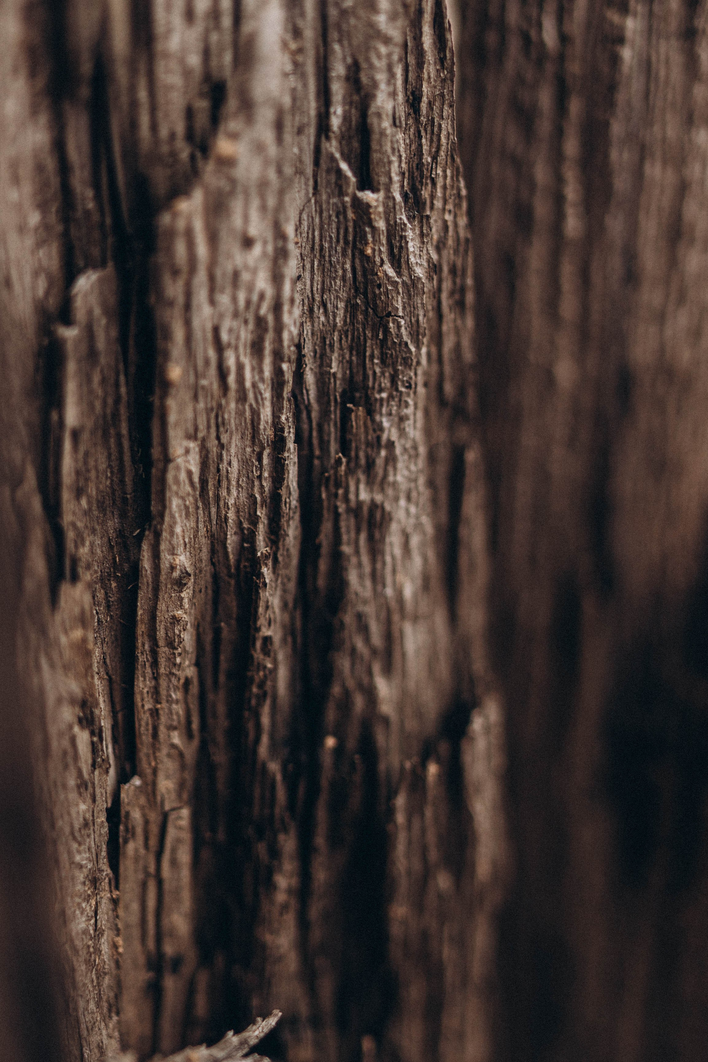 Наташа. Свадебный и семейный фотограф в Перми Дарья Алекс