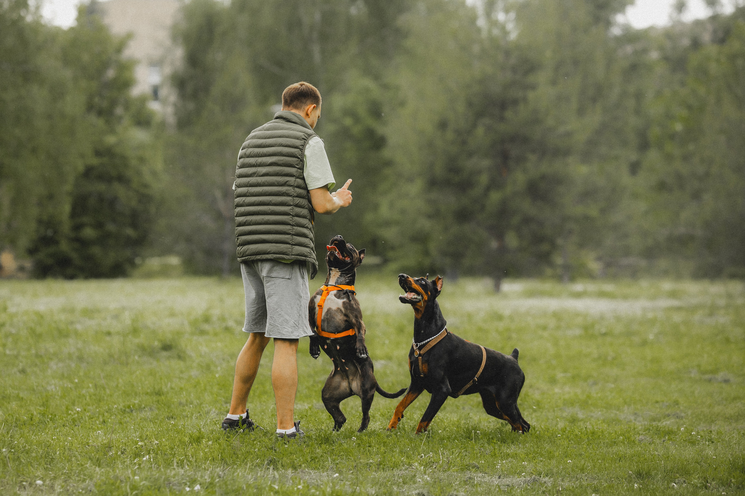 Паша, Хайди и Тея
