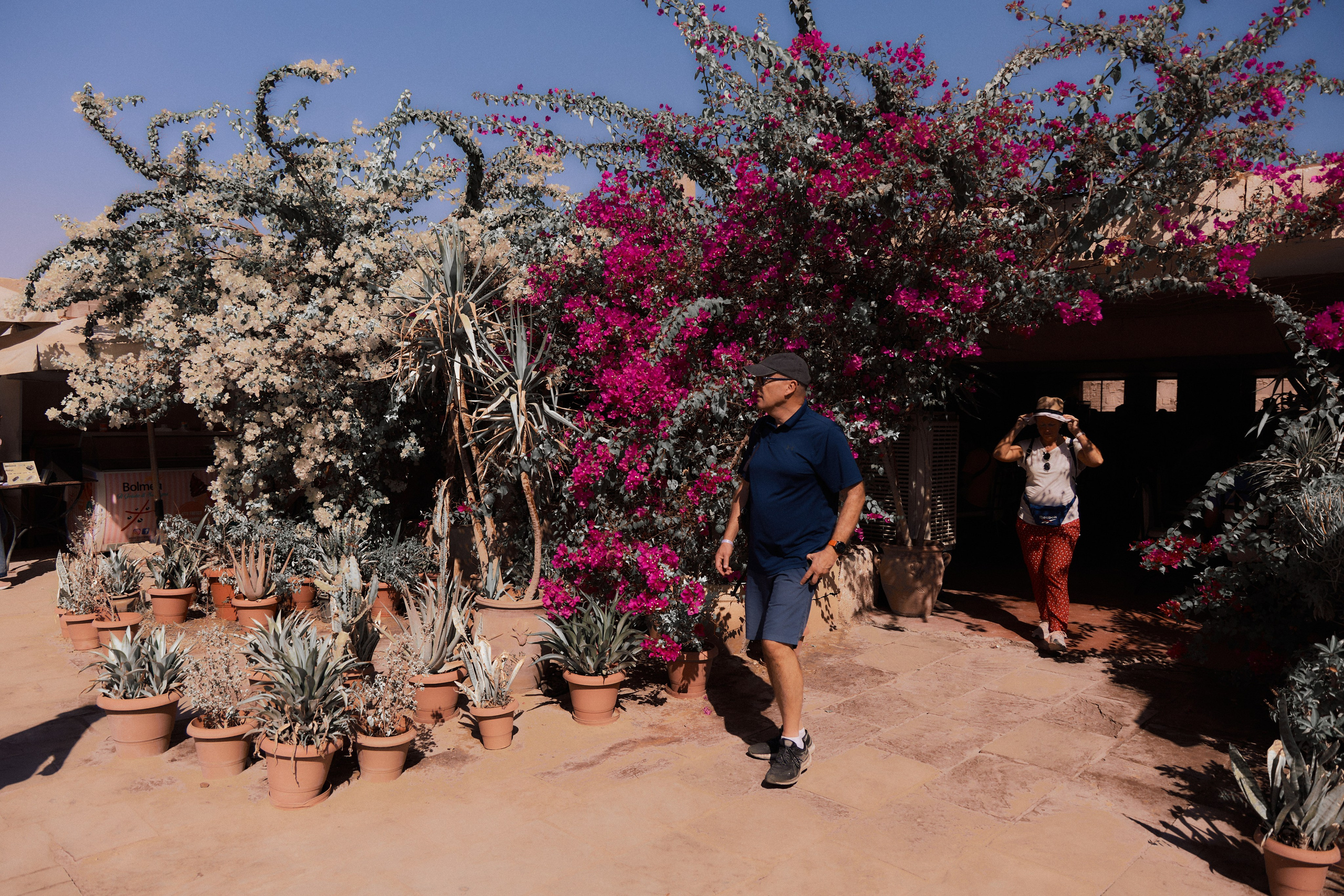 Другое 4. Jorgis — фотограф в Хургаде / обучение фотографии