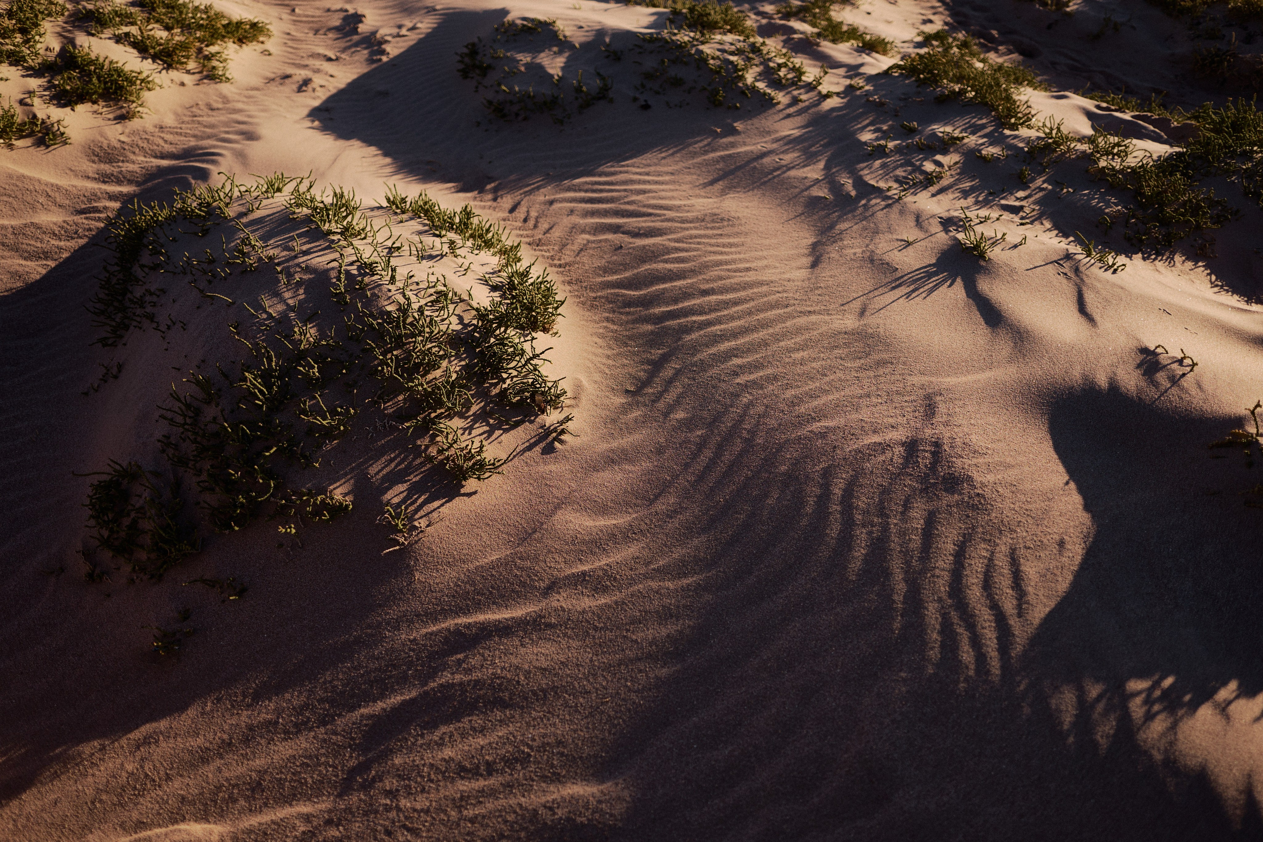 Другое 4. Jorgis — фотограф в Хургаде / обучение фотографии