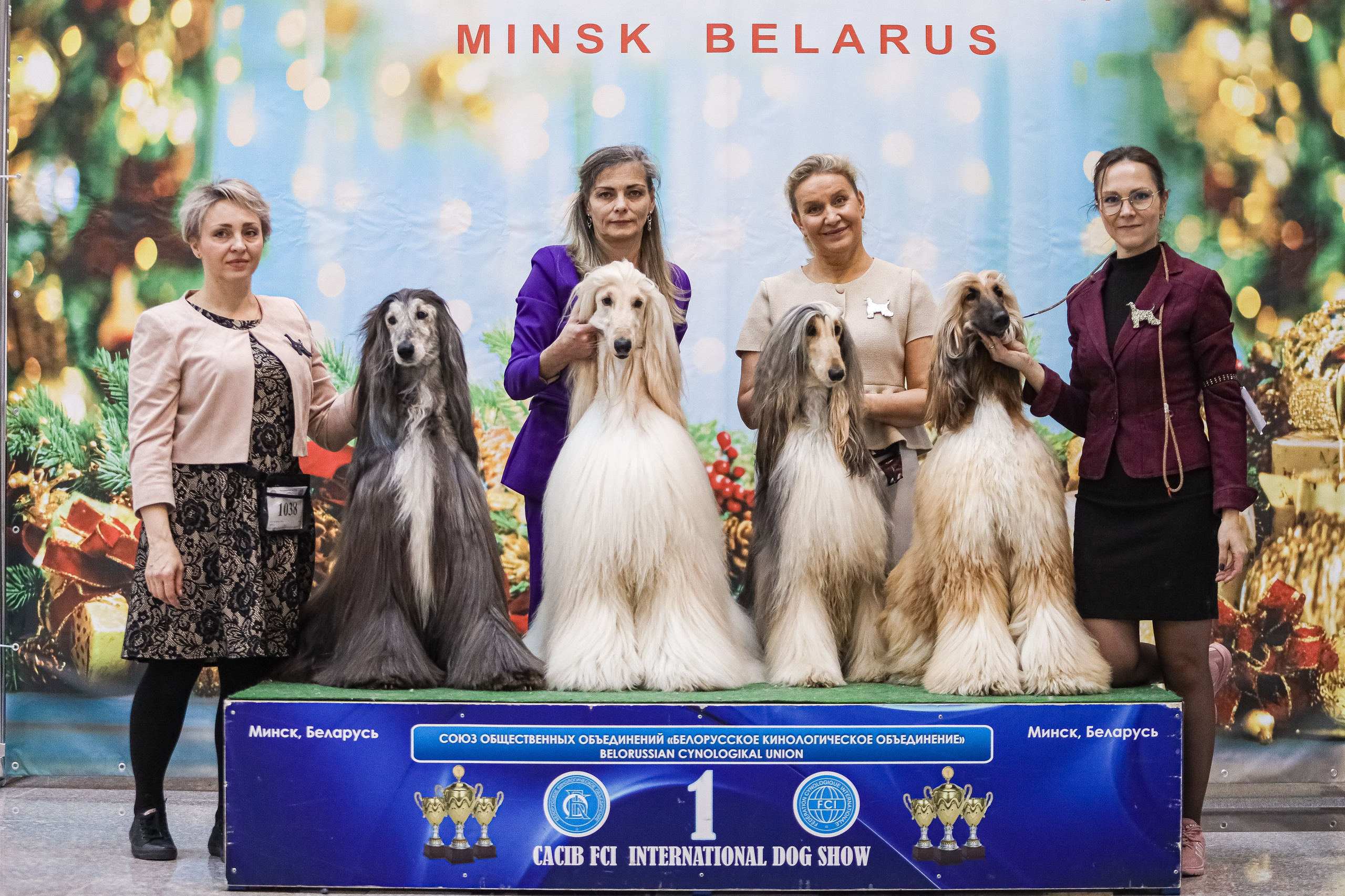 Международная выставка собак СACIB FCI 29-30.11.2025. Галерея фотографий афганской борзой